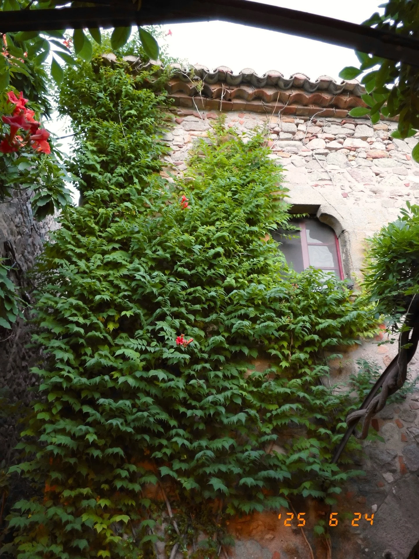 Aire de Costa Brava// Costa Brava vibes

#microwedding #2025wedding #elopementwedding #elopementweddingphotographer #spainweddingphotographer
