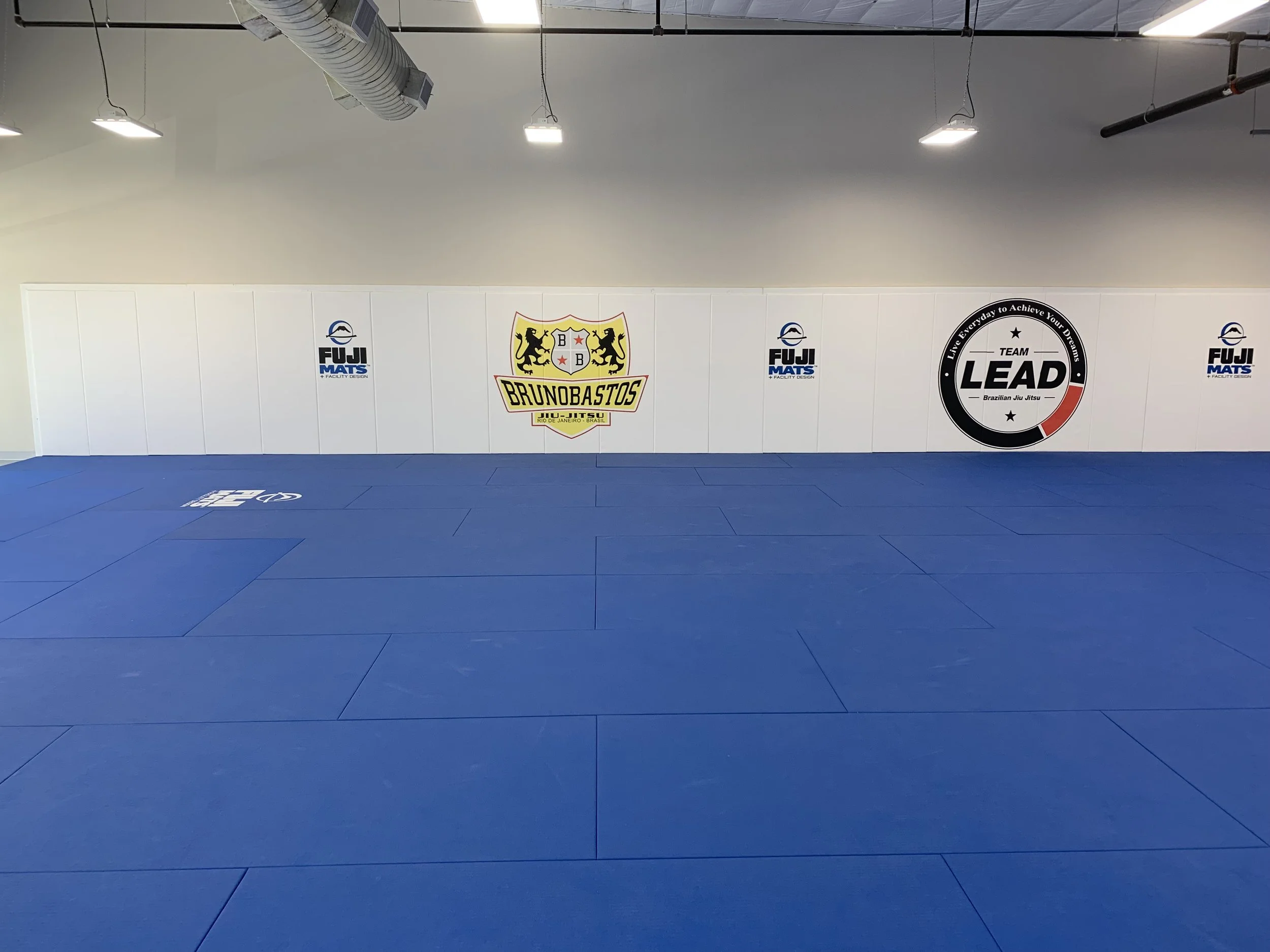 Open span with shock absorbing mats, padded wall system, and LED lighting for daily classes.