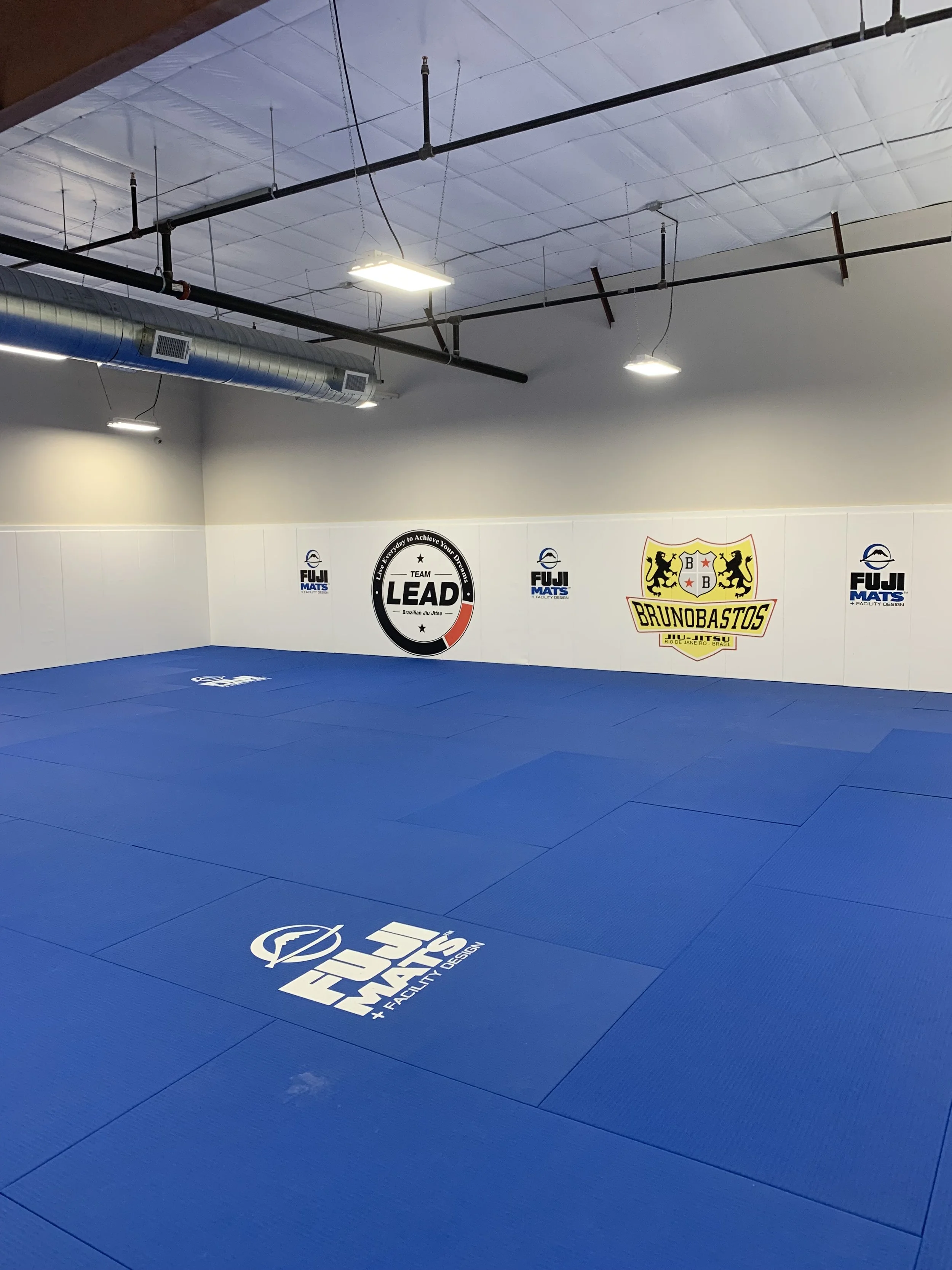 Branded wall and continuous mat surface support large group instruction and practice.