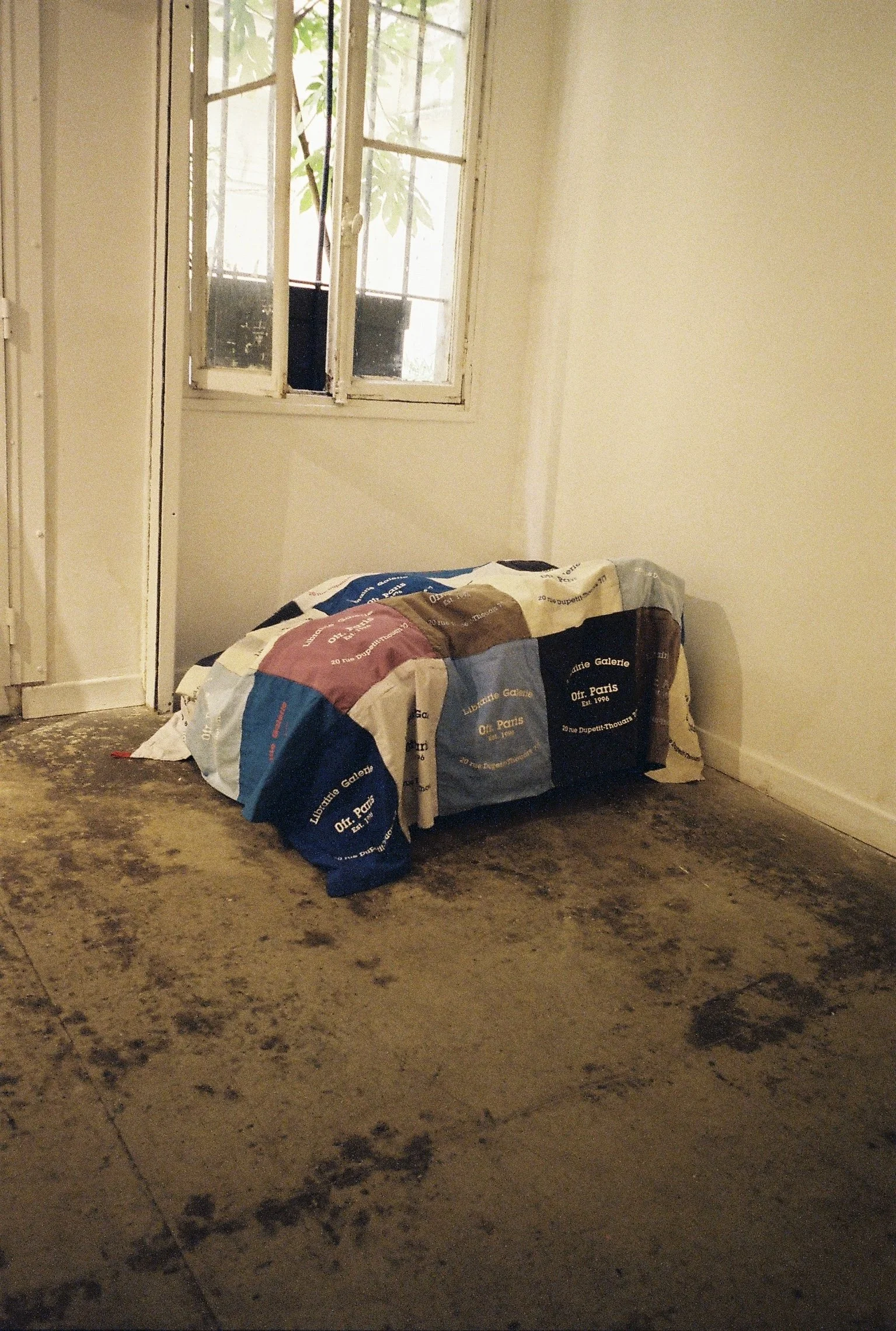 Three large bags of pet litter placed on a concrete floor in front of a window in a room with white walls. The window has a black planter or box outside, with green leaves visible through the window.