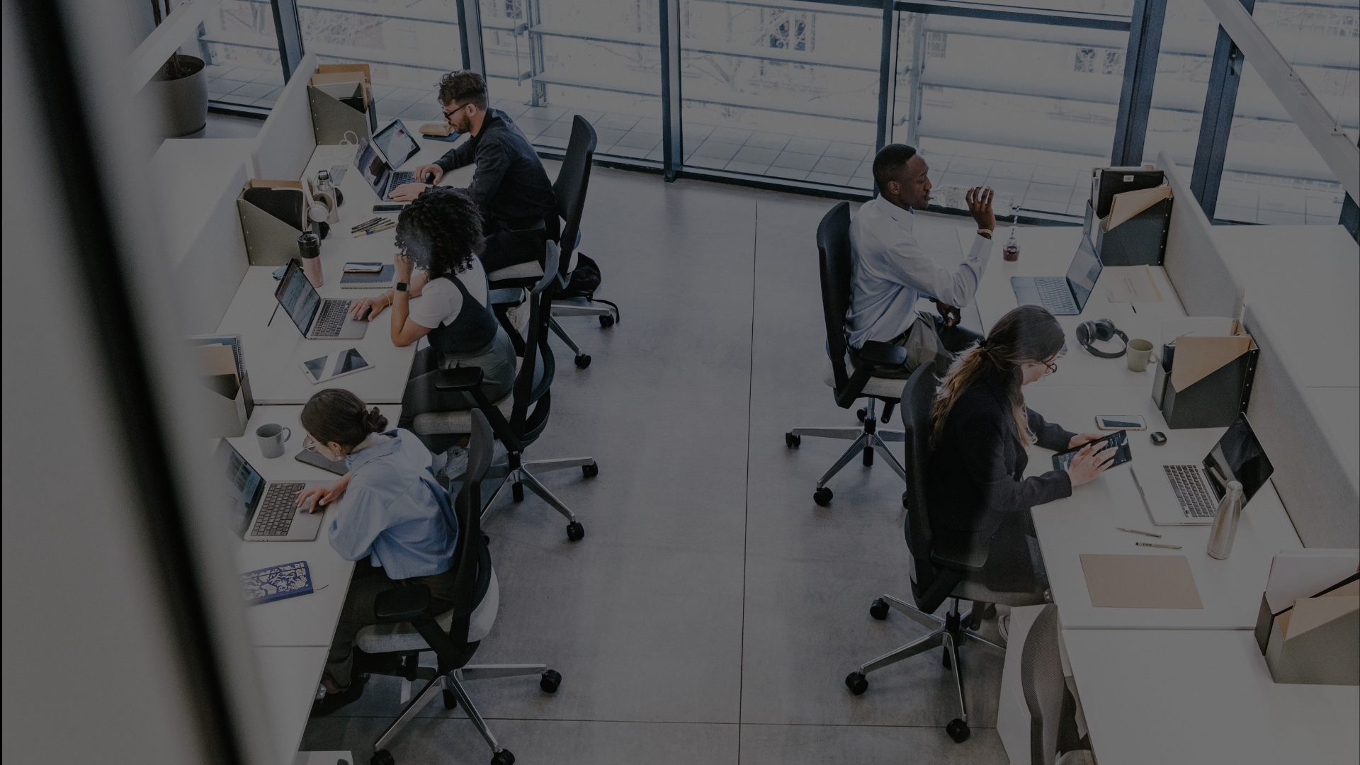 Terra Global Partners high performing team work