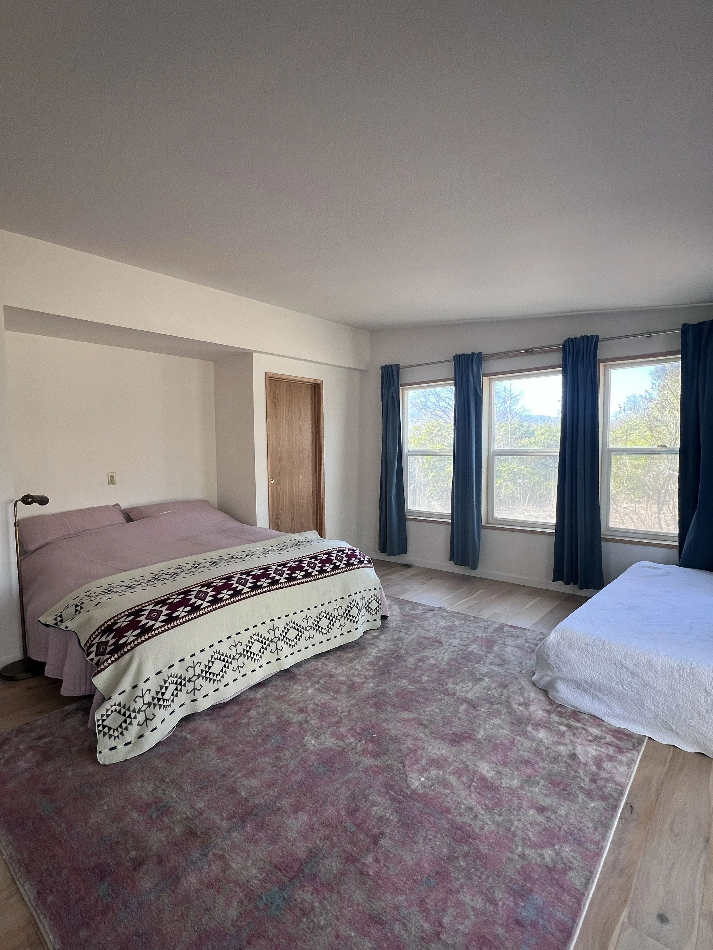 Bear Puma King bed + twin