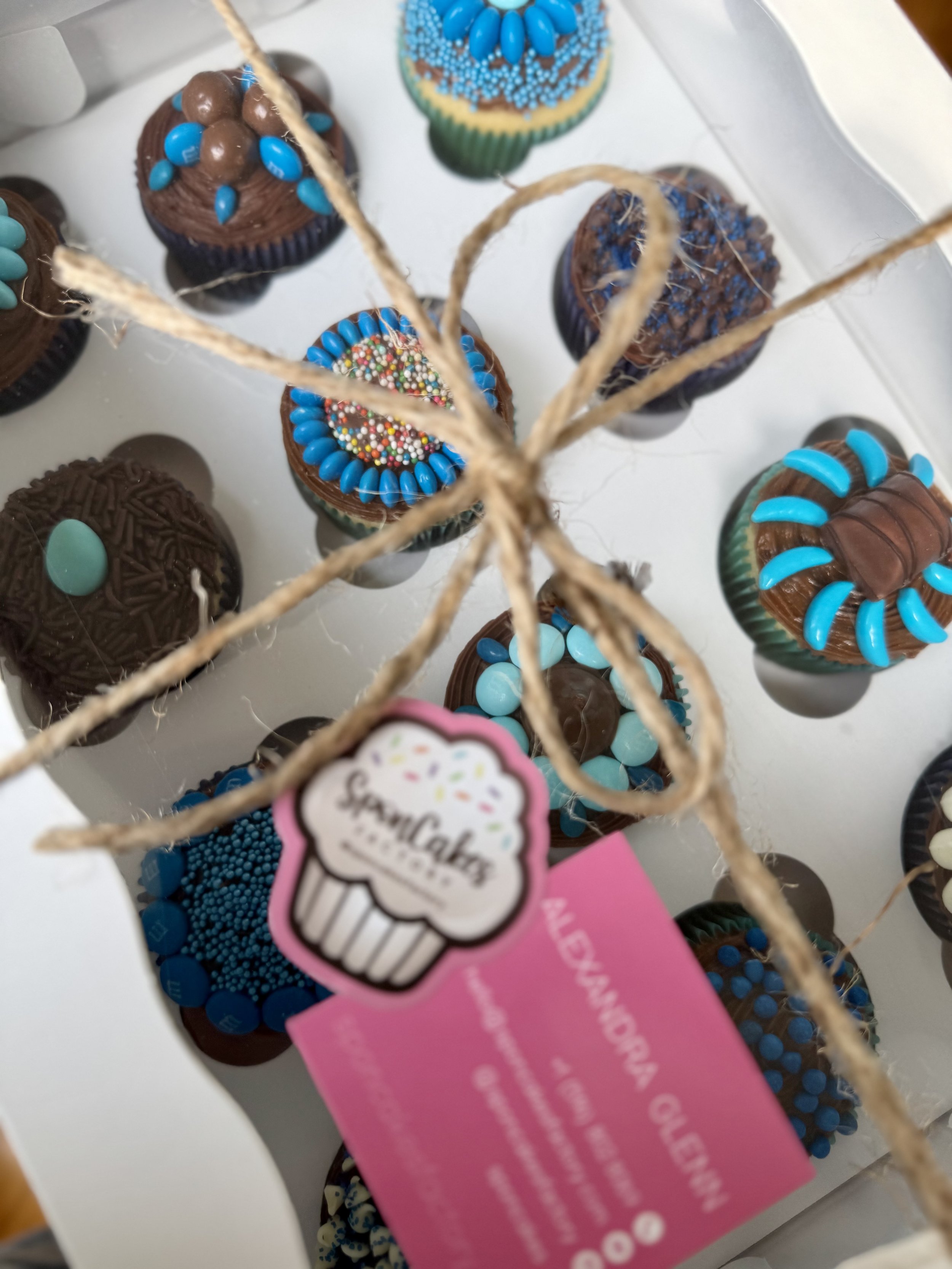 Chocolate cupcakes with blue decorative accents for a stylish celebration