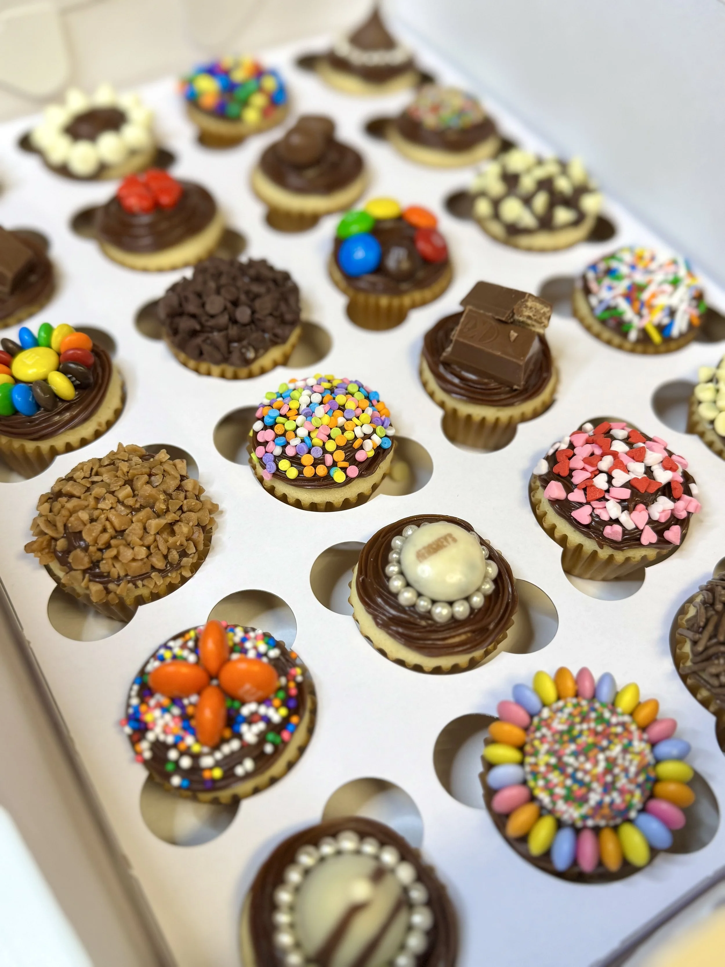 24 chocolate mini cupcakes