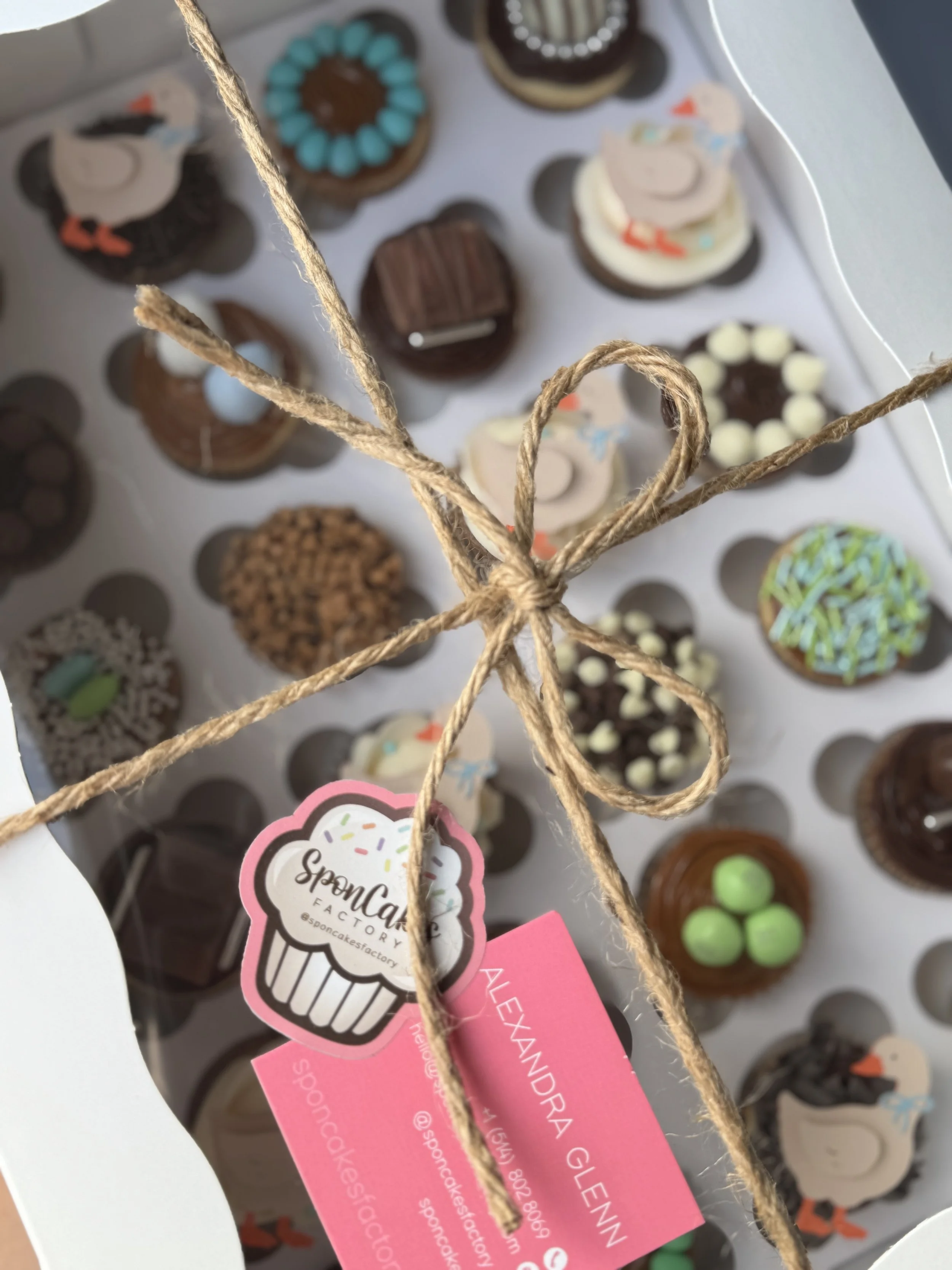 Custom 24 mini cupcakes Silly goose Box