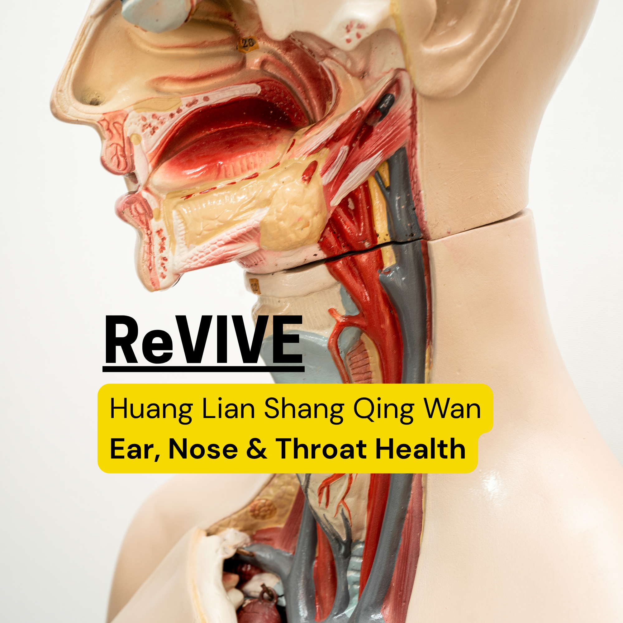 Revive-ENT.png