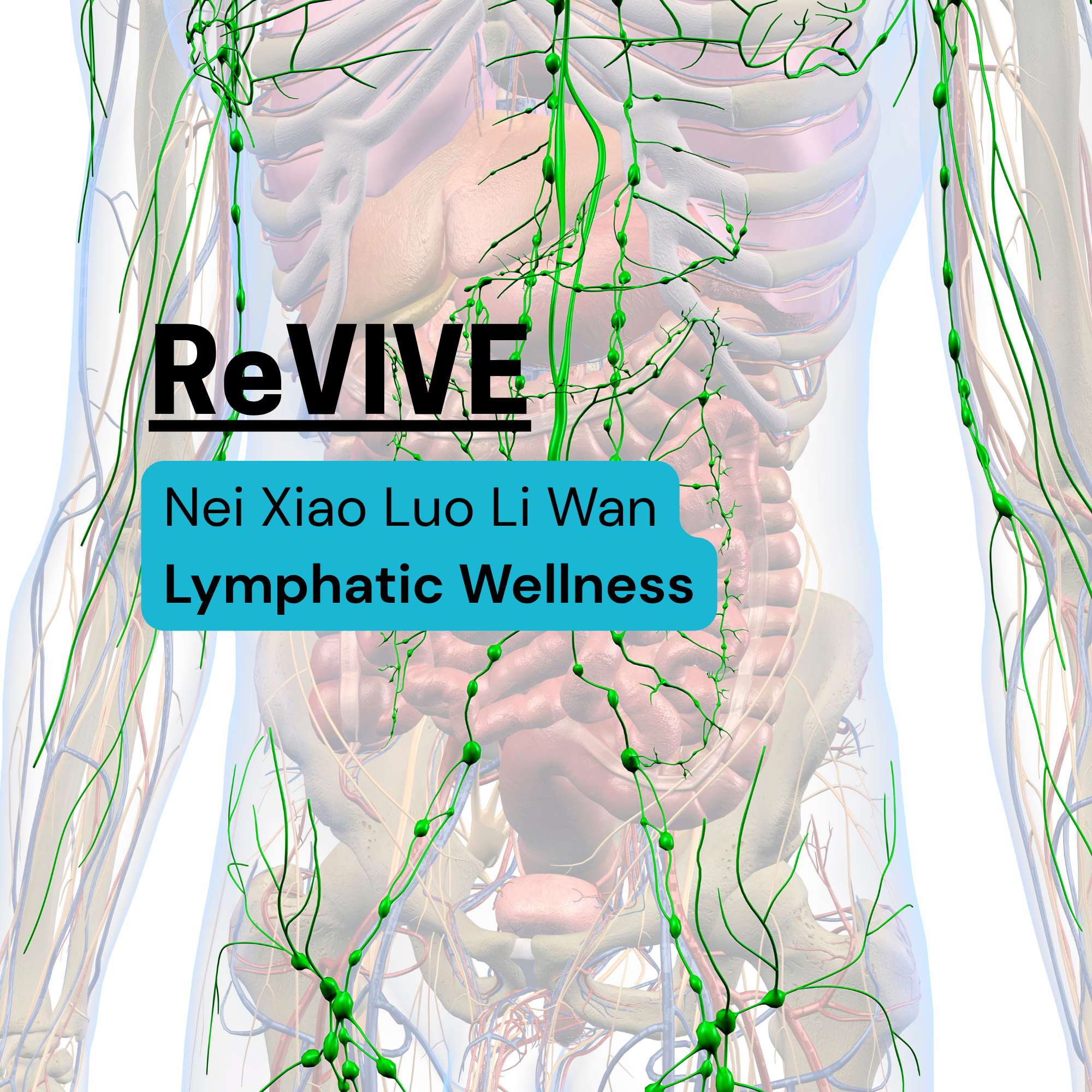 Revive-Lymphatic.png
