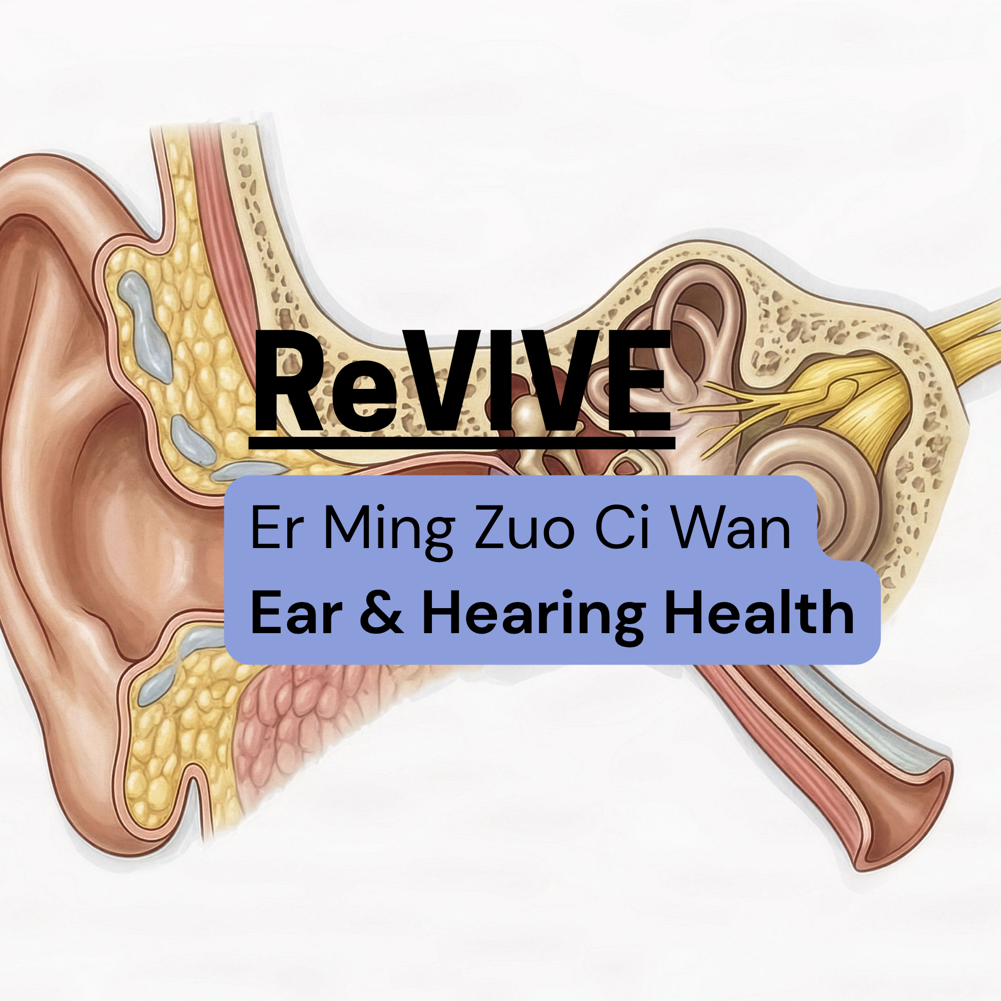 Revive-Hearing.png
