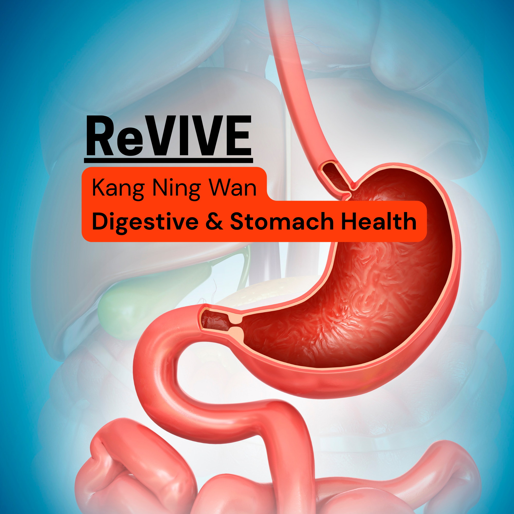 Revive-Stomach.png