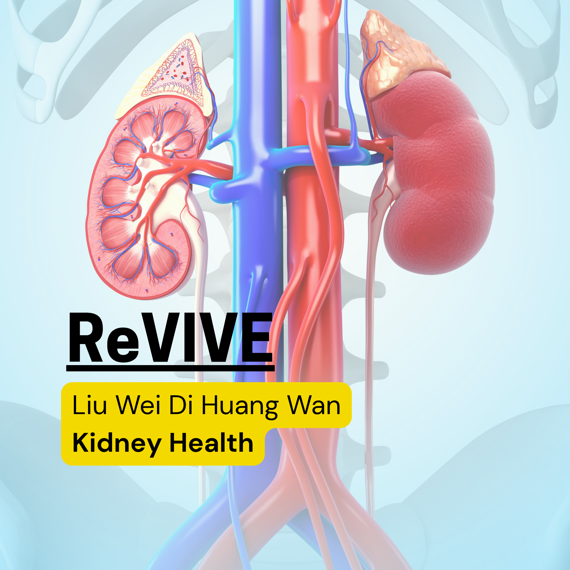 Revive-Health.png