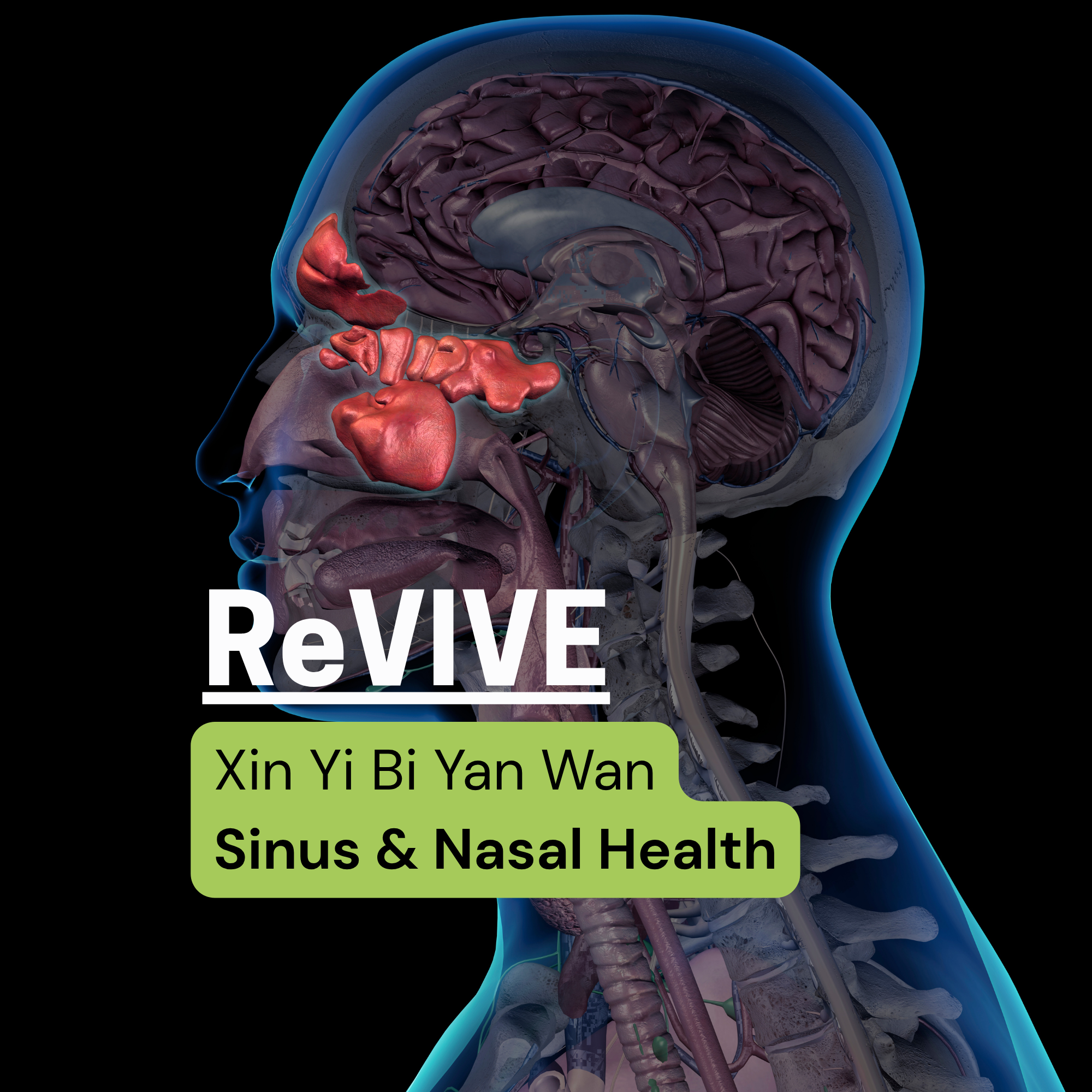 Revive-Sinus.png