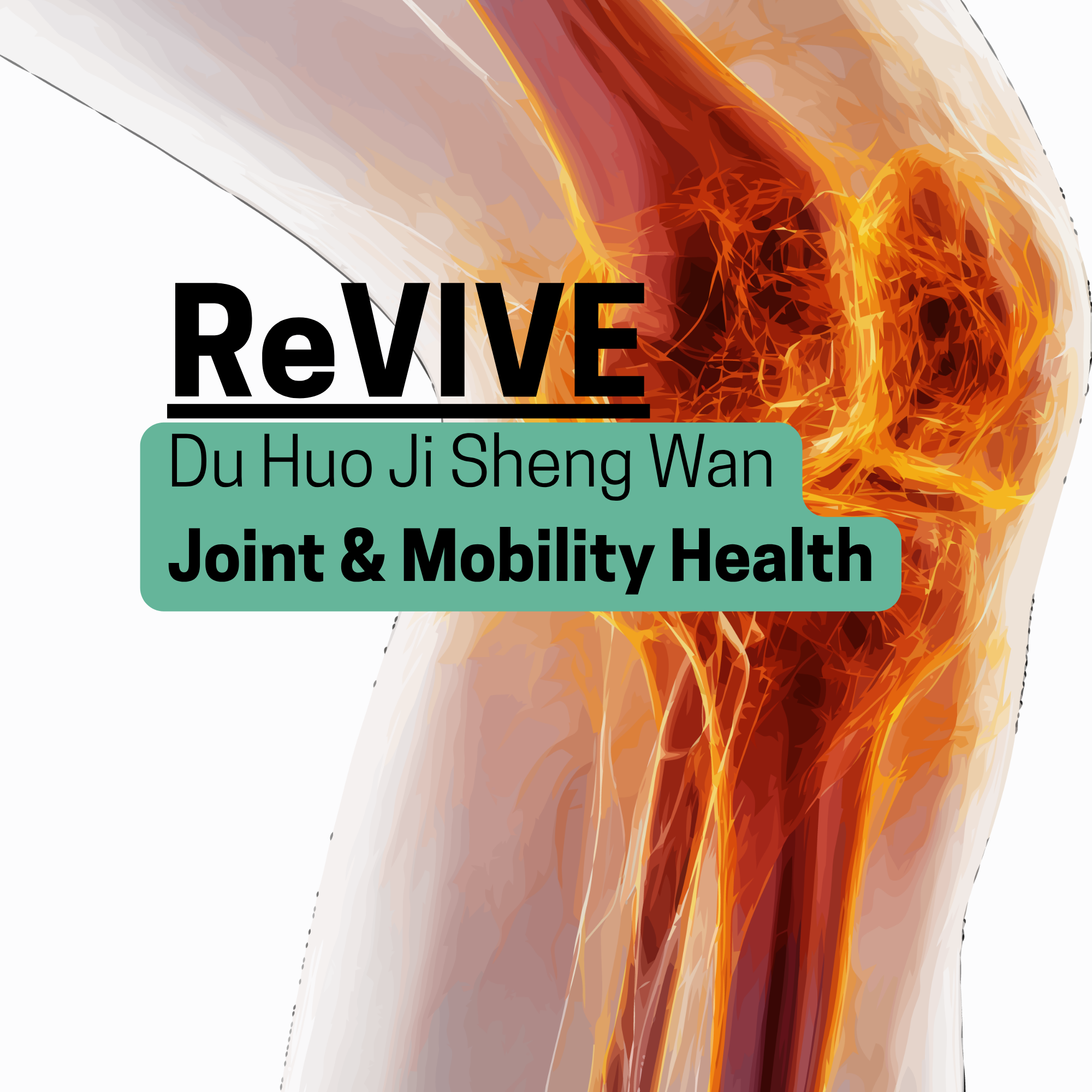 Revive1.png