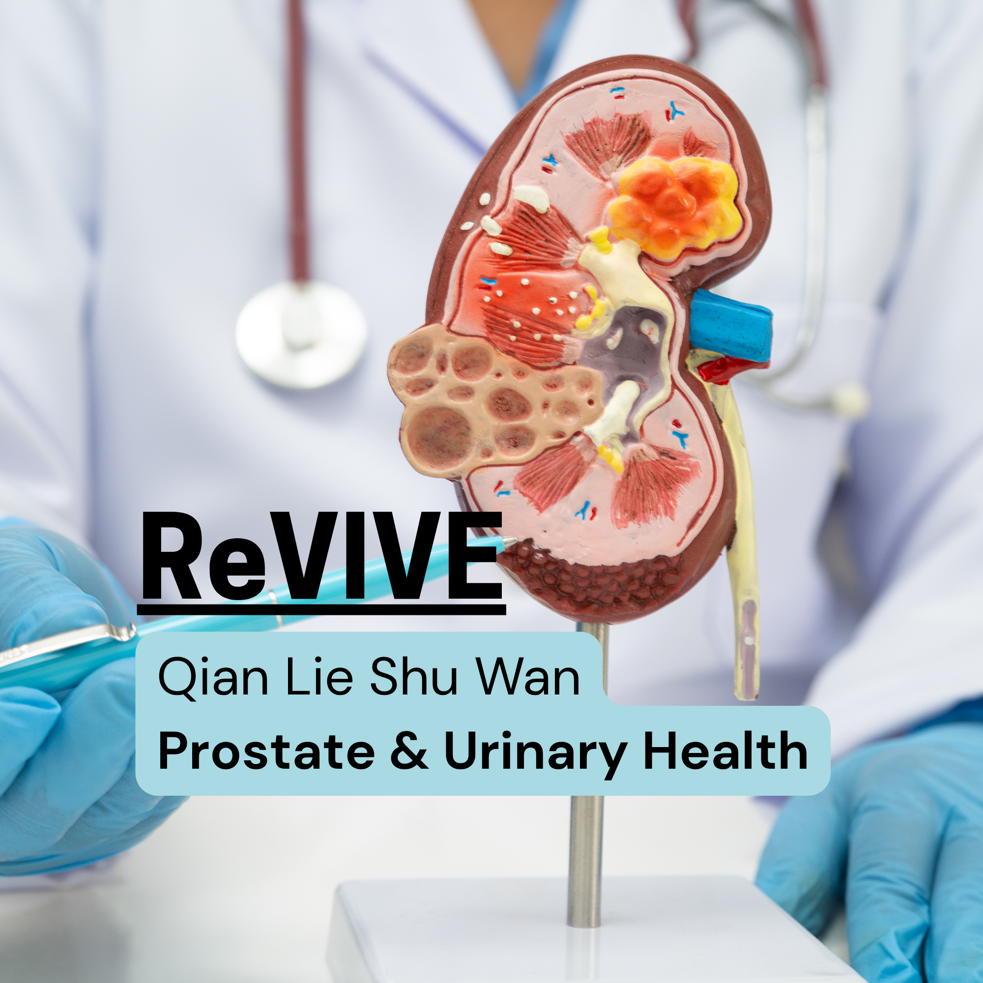 Revive-Urinary.png