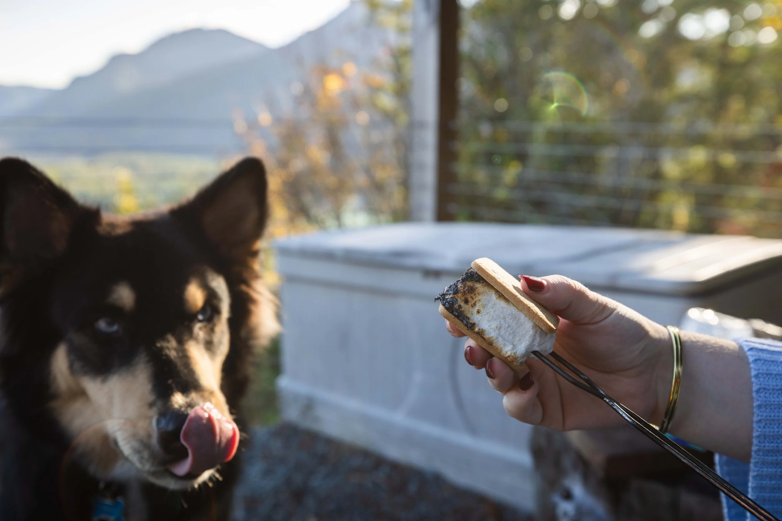 Alder Lake Lookout - Full-25.jpg