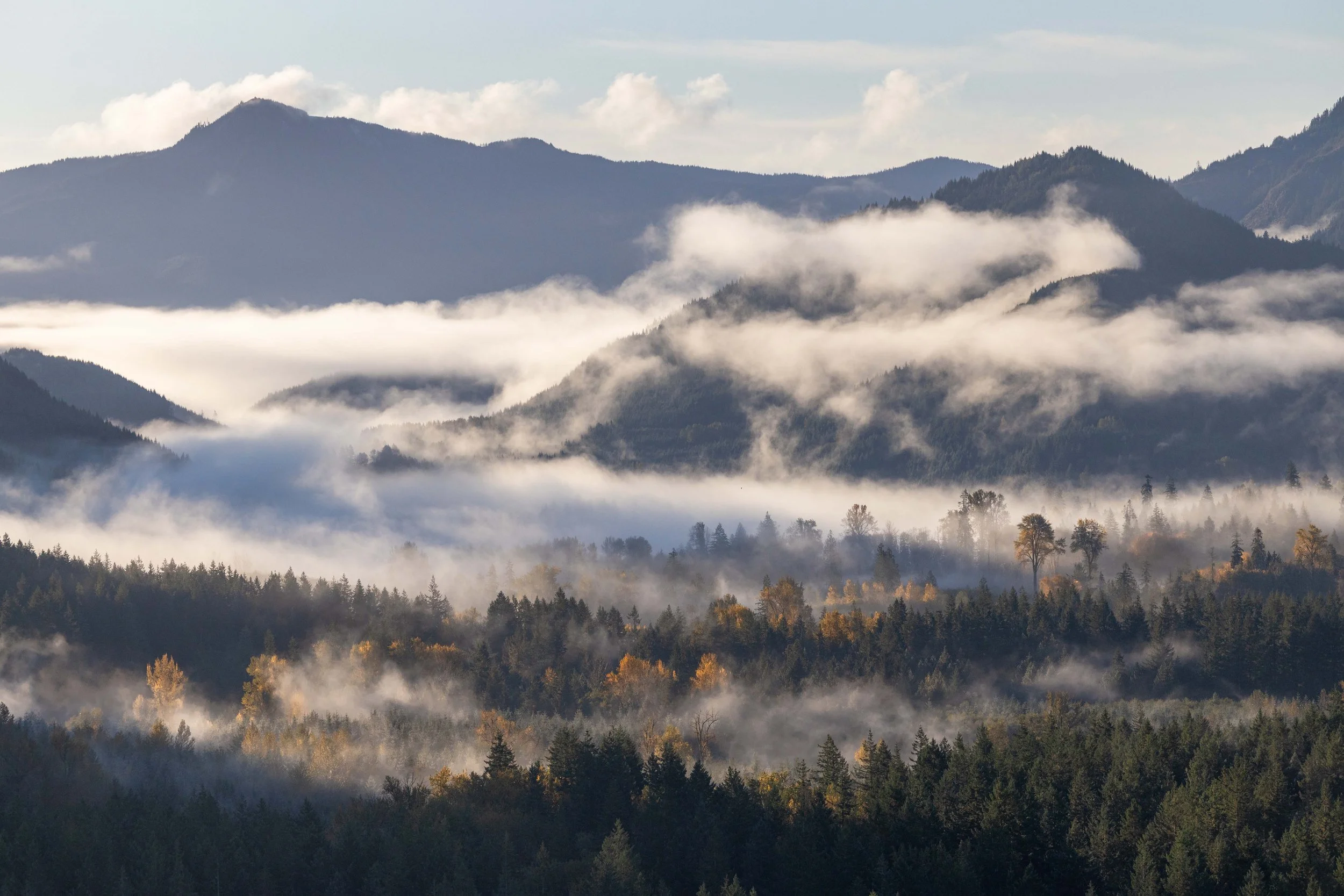 Alder Lake Lookout - Full-20.jpg