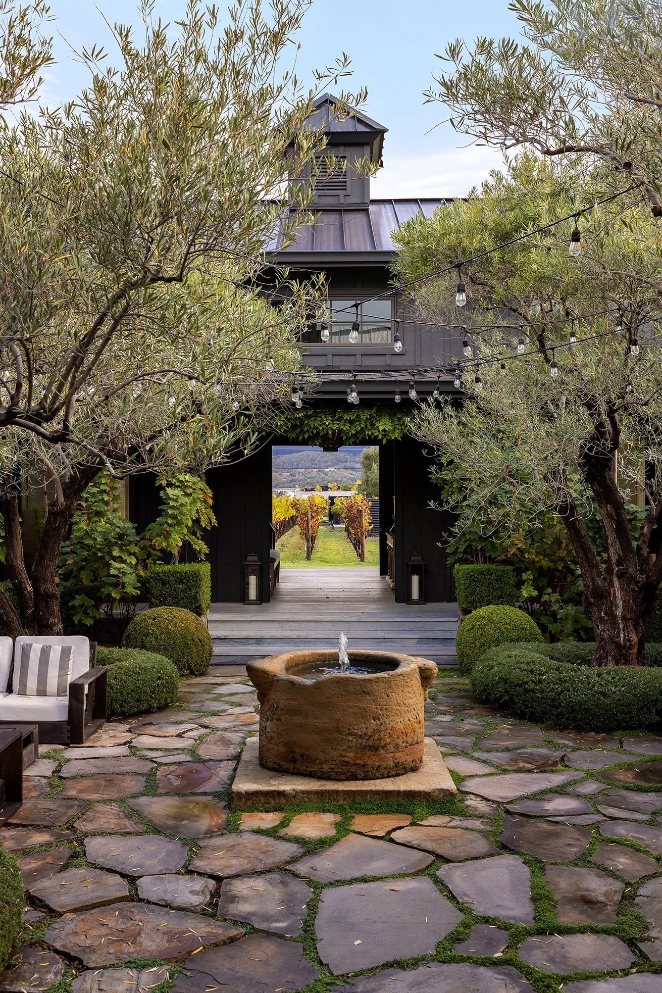 Infinity_Napa0412 - Web-web.jpg