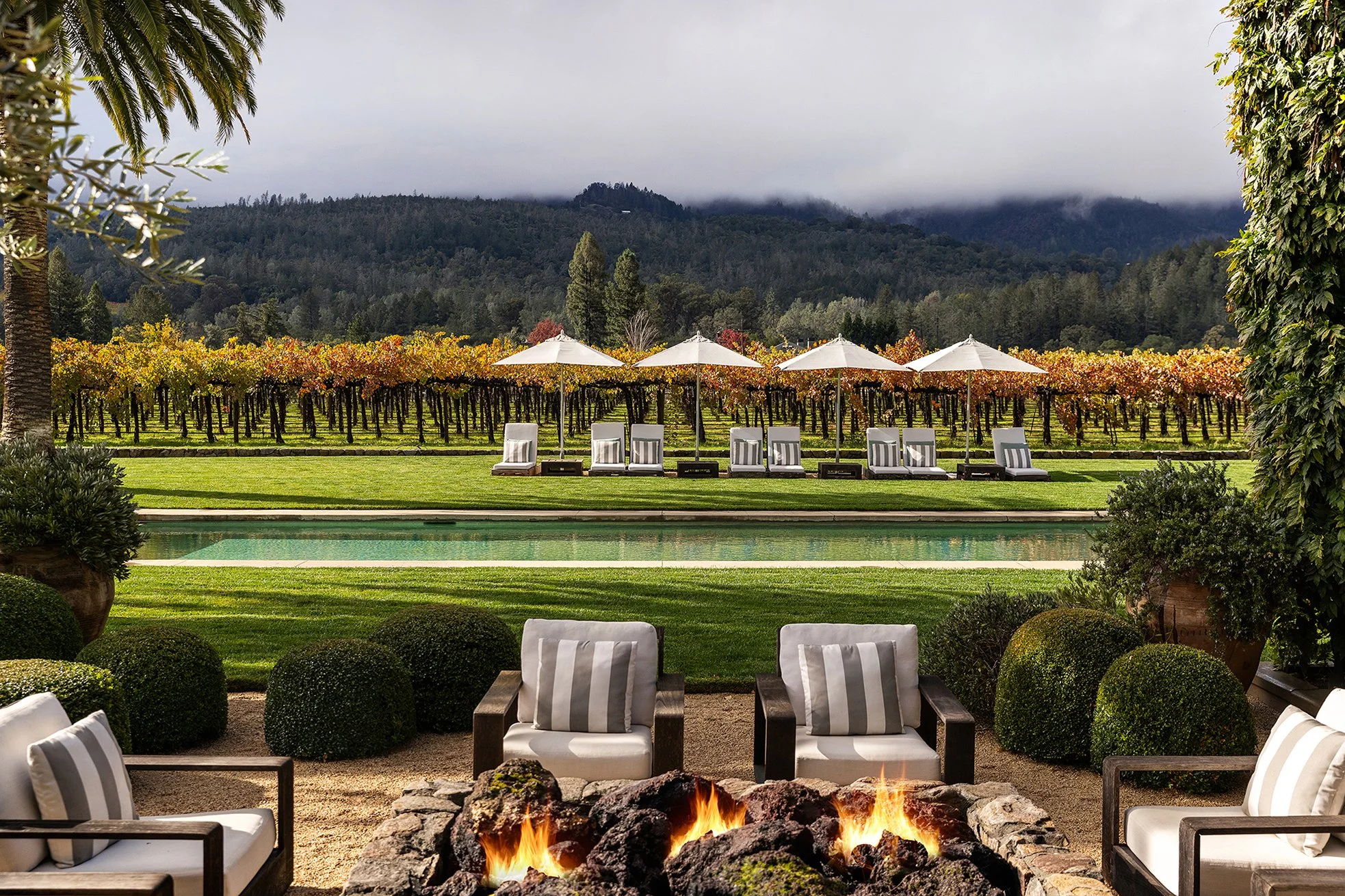 Infinity_Napa0352 - Web-web.jpg