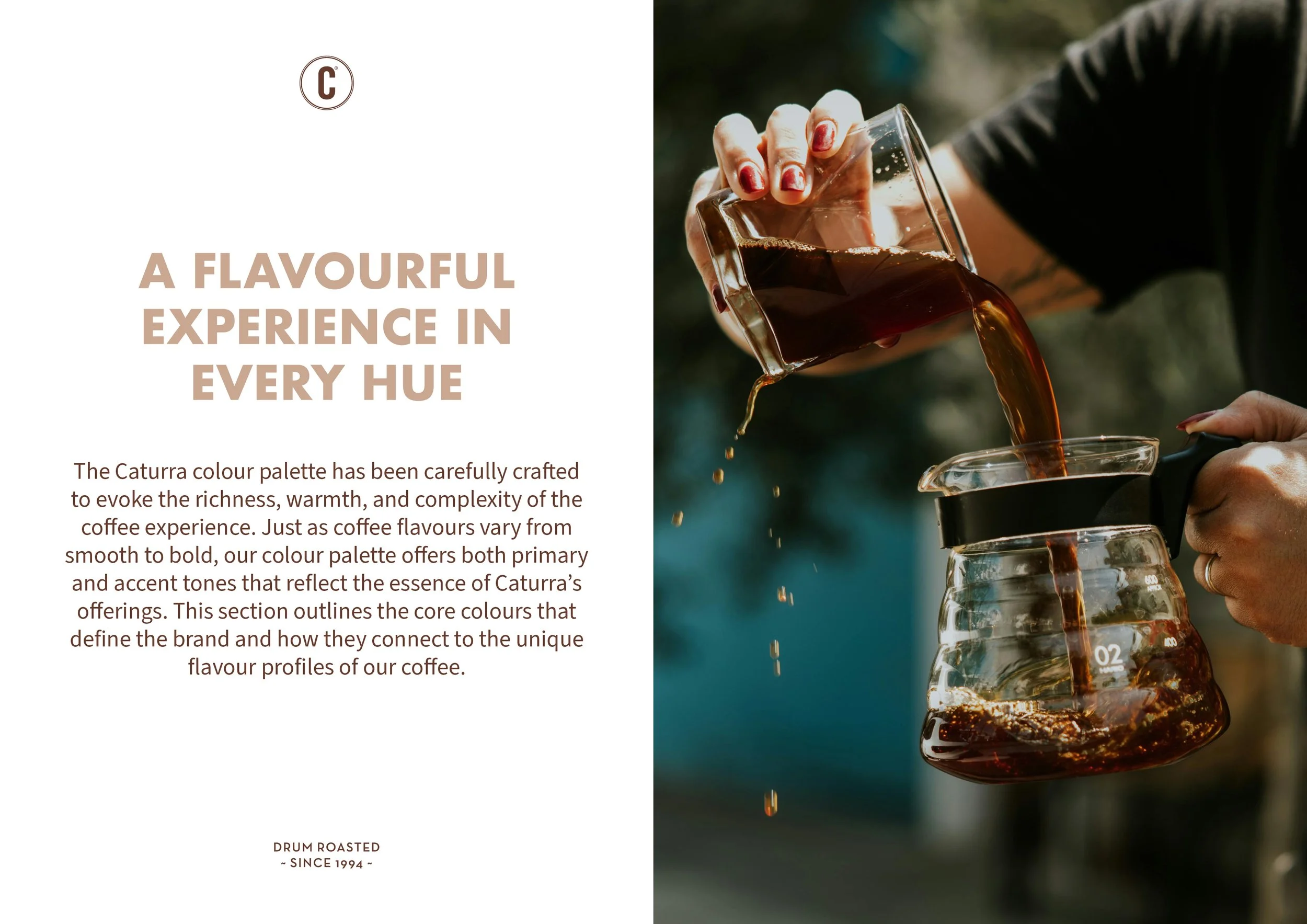 Caturra Coffee Brand Guide _ 2024 _  V327.jpg