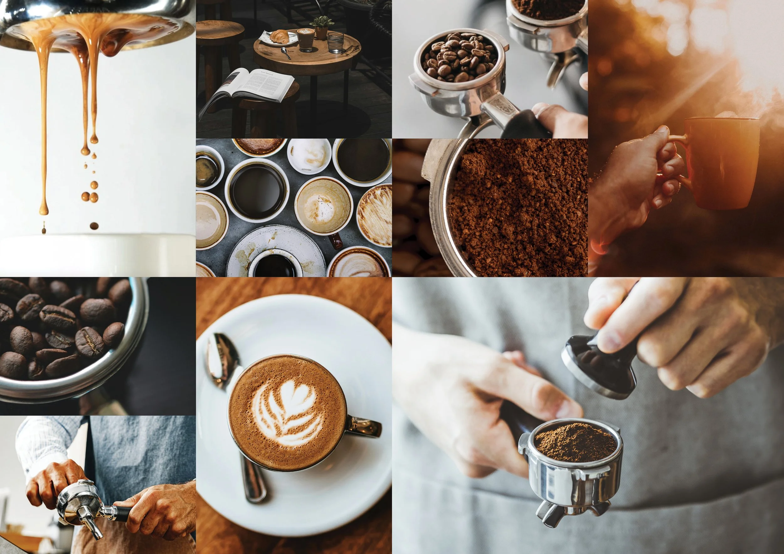Caturra Coffee Brand Guide _ 2024 _  V326.jpg