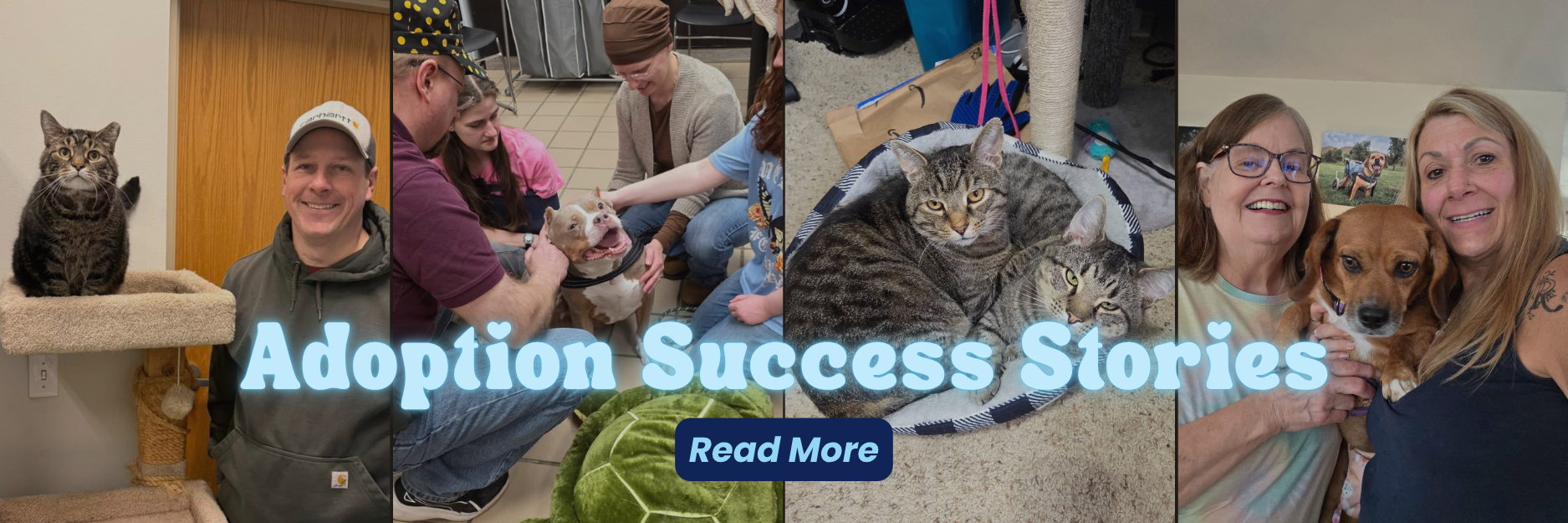 slider - adoption stories.png