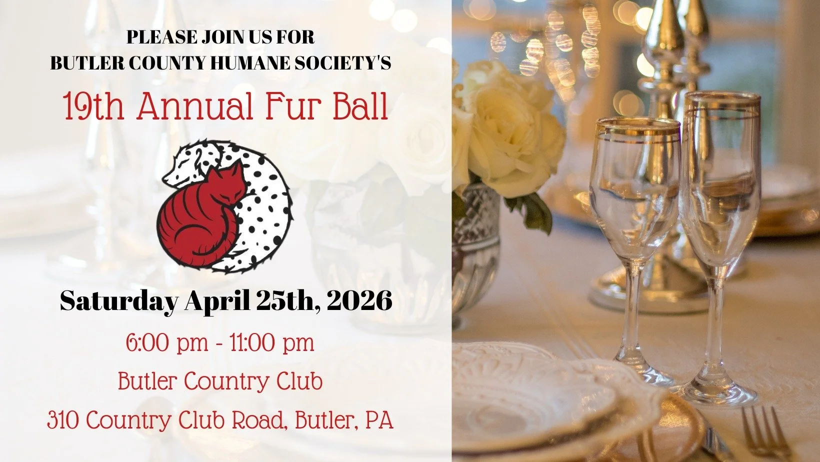 Fur Ball