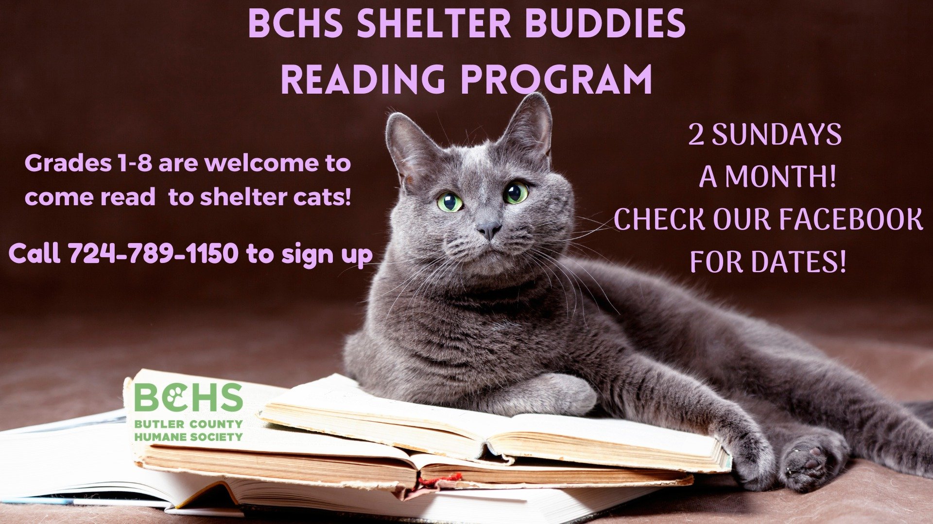 Shelter Buddies Reading Program