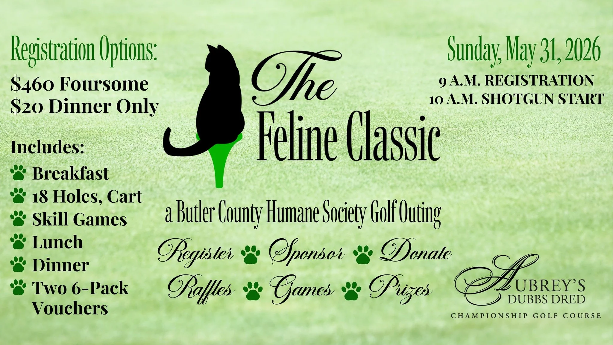 The Feline Classic