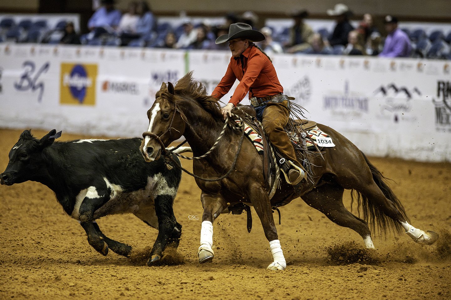 FWT_9669_VE DOUBLE DOWN TIME_HACKAMORE_WGH REIN-FW25 CofC-WGH-TOD-.jpg