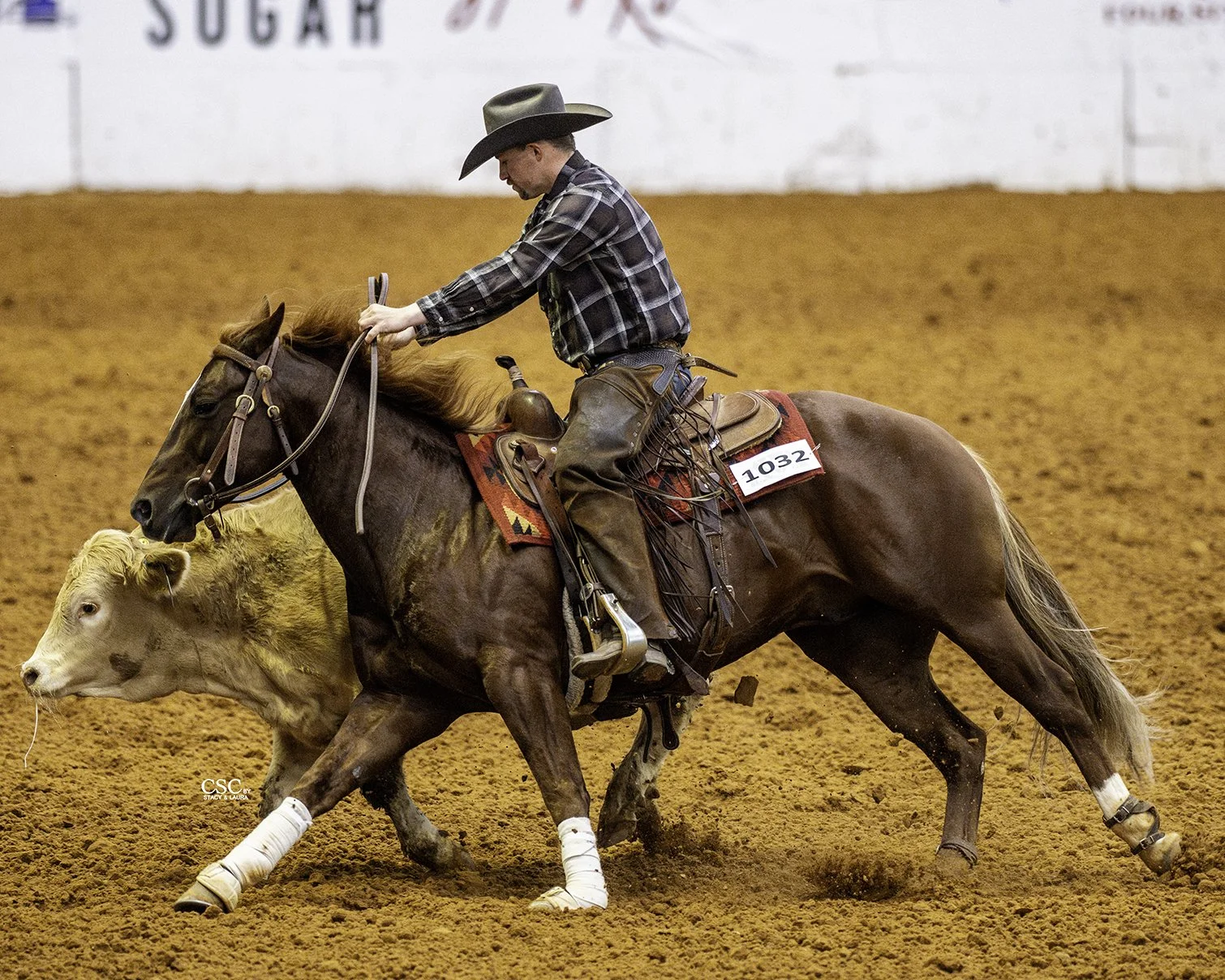 WEB-FWT_2118_VE ARIZONA OUTLAW_DERBY COW_WGH REIN-FW25 CofC-WGH-TOD-.jpg