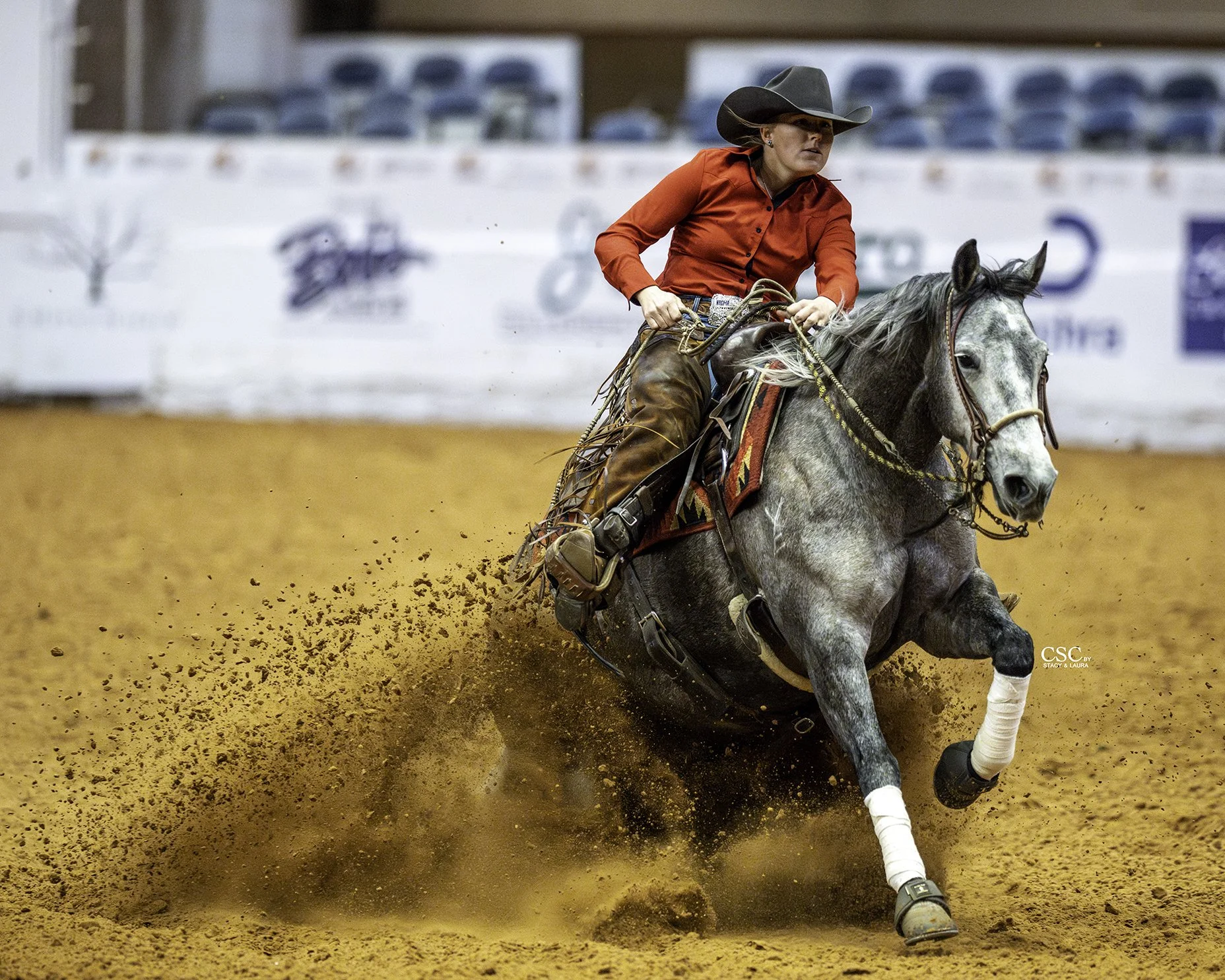 WEB-FWT_9764_VE ONE HIRED GUN_WGH REIN-FW25 CofC-WGH-TOD-.jpg