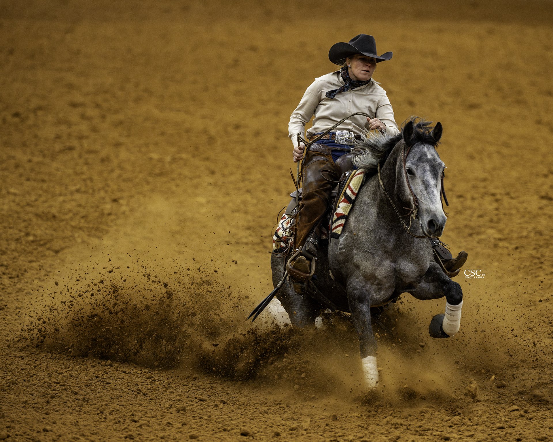 WEB_FWT_3506_VE ONE HIRED GUN_WGH REIN-FW25 CofC-WGH-TOD-.jpg