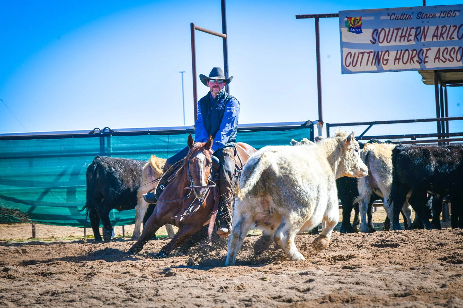 DSC_5177FSM.jpg