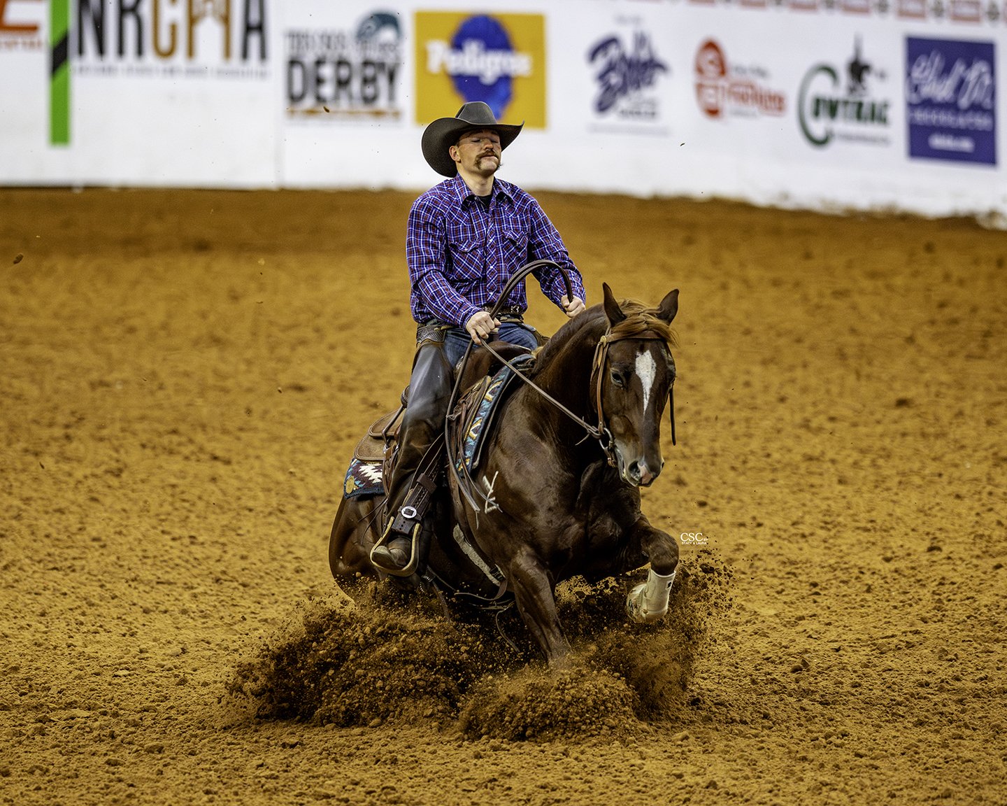 FWT_3625-VE ARIZONA OUTLAW HORSE NAME -FW25 CofC-WGH-TOD-.jpg