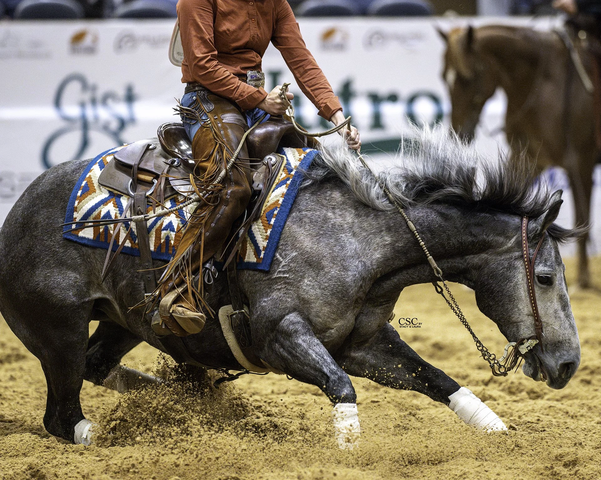 FWT_1029VE ONE HIRED GUN-FW25 CofC-WGH-TOD.jpg