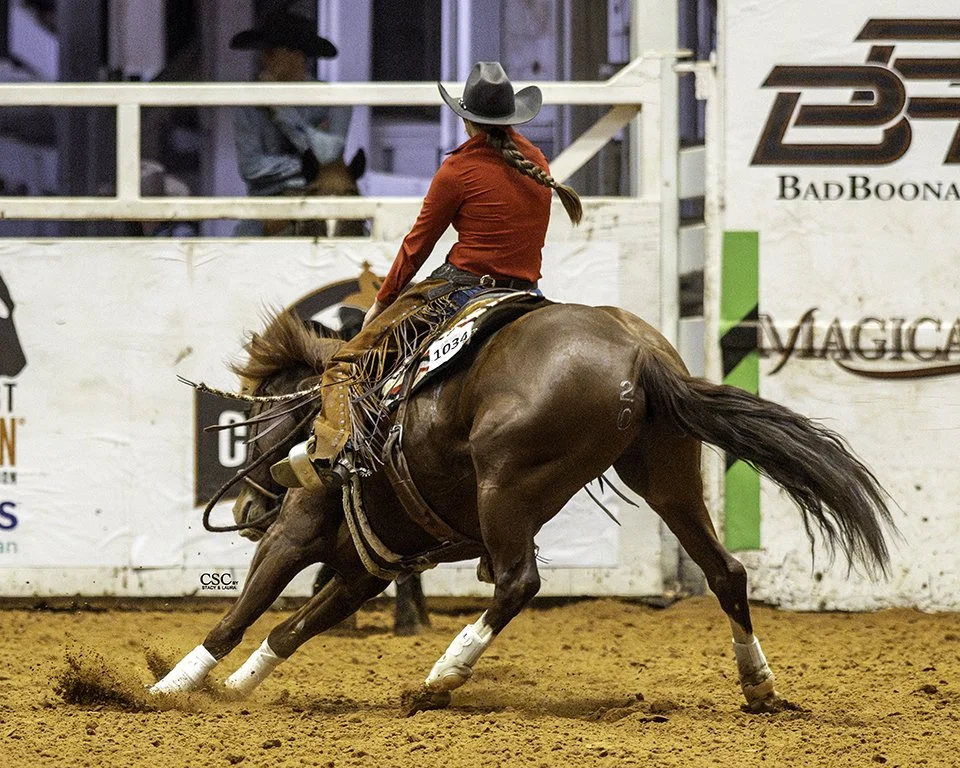 WEB-FWT_9607_VE DOUBLE DOWN TIME_HACKAMORE_WGH REIN-FW25 CofC-WGH-TOD-.jpg