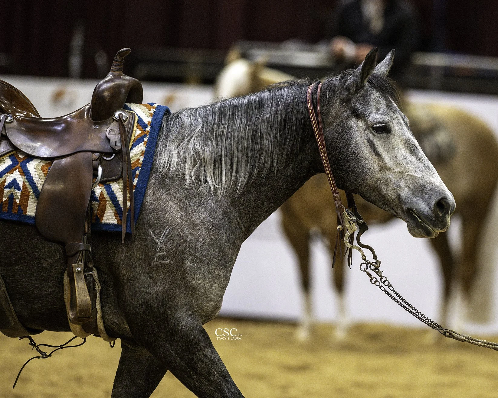 FWT_1073-VE ONE HIRED GUN-FW25 CofC-WGH-TOD-.jpg