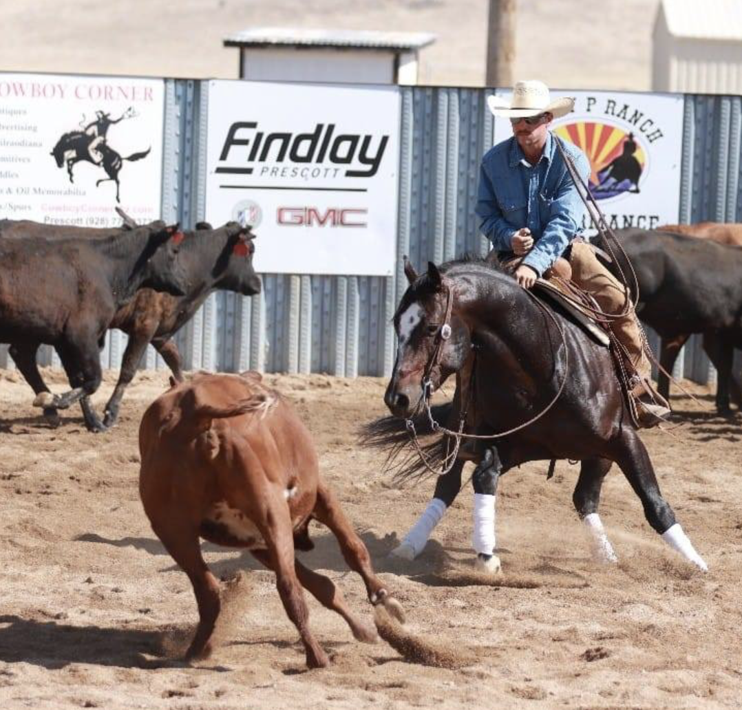 Screenshot 2024-04-18 at 8.46.39 AM.png