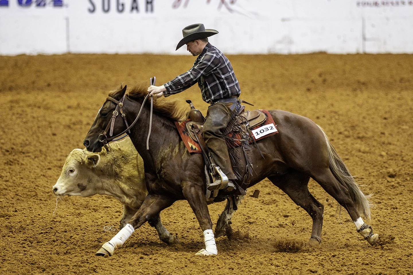 FWT_2118_VE ARIZONA OUTLAW_DERBY COW_WGH REIN-FW25 CofC-WGH-TOD-.jpg