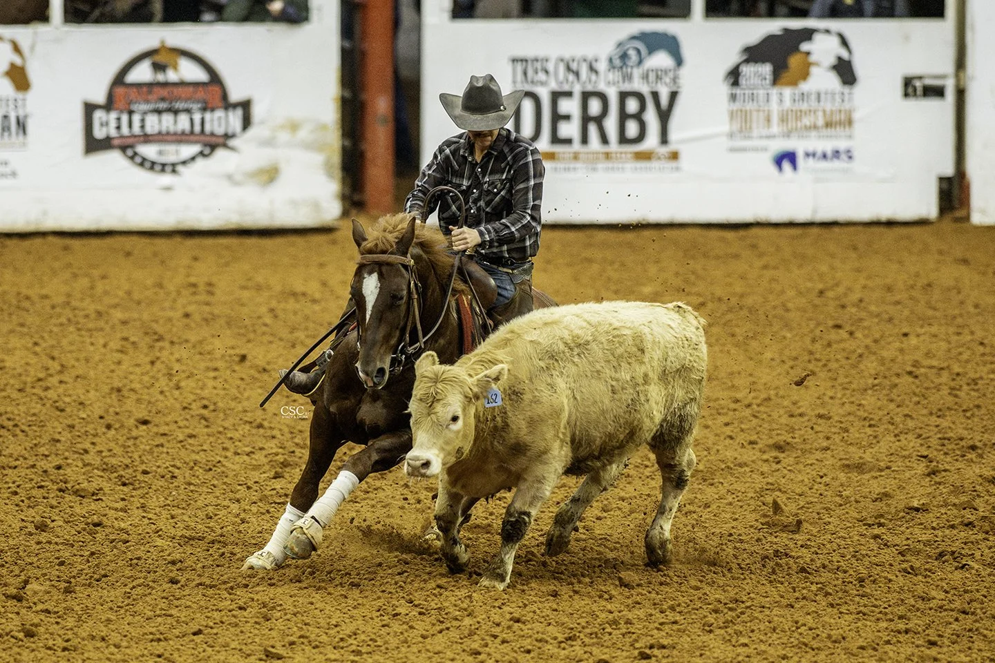FWT_2089_VE ARIZONA OUTLAW_DERBY COW_WGH REIN-FW25 CofC-WGH-TOD-.jpg