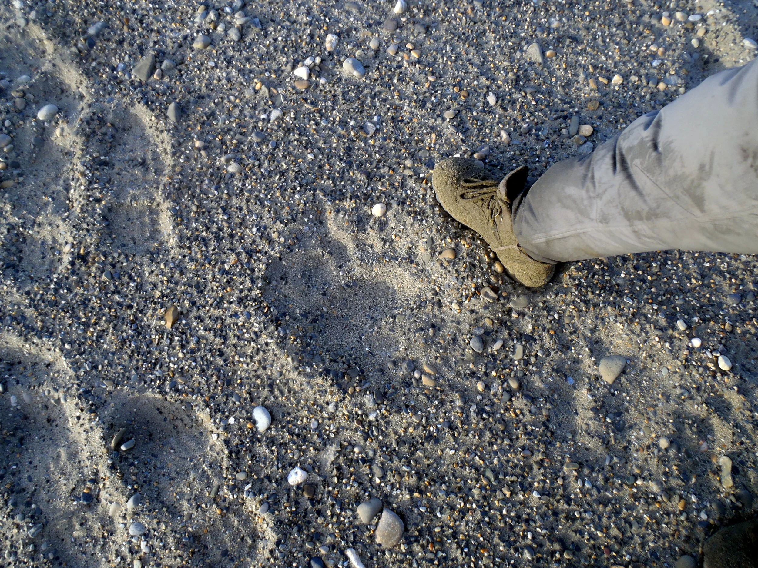 Brooks, Hula Hula Summer Trip (Dave's Pics) 102.JPG