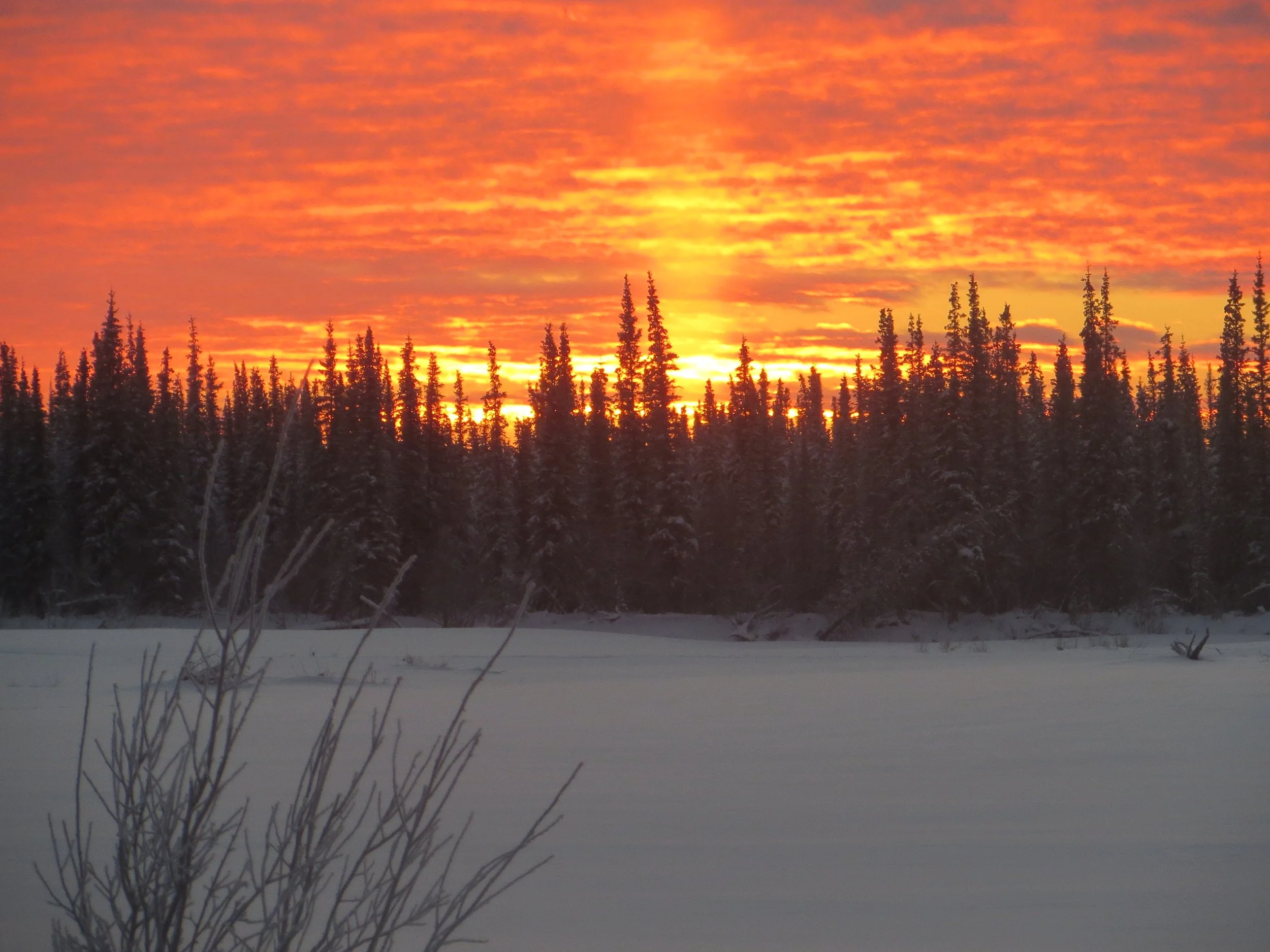 2-11-14 State Skiing 387.JPG