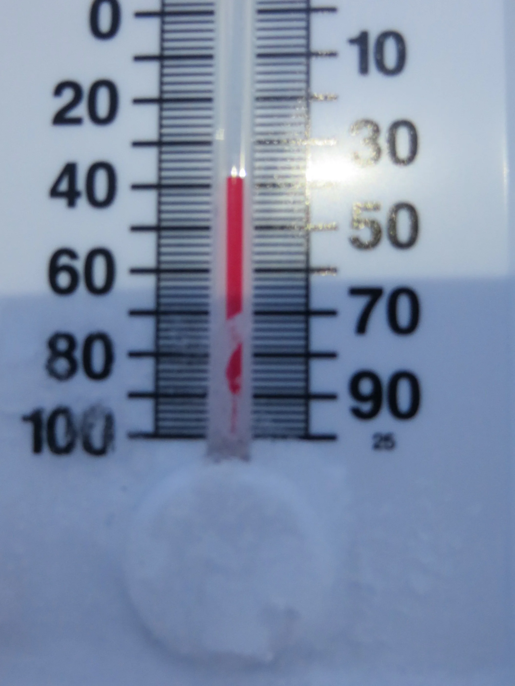 2-11-14 State Skiing 247.JPG