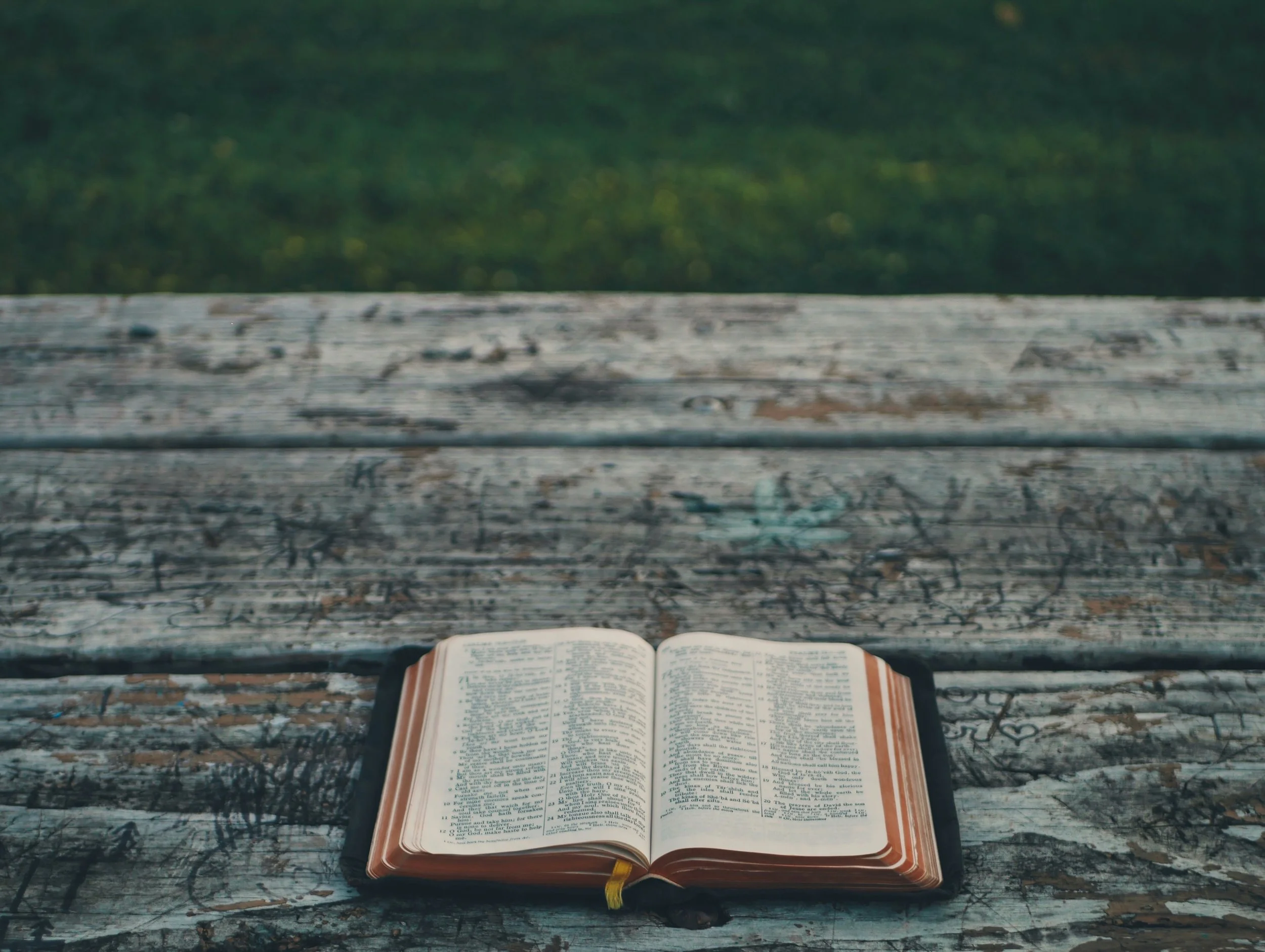 Lectio Divina