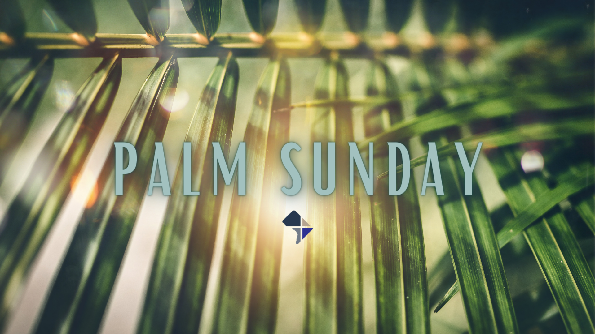 Palm Sunday