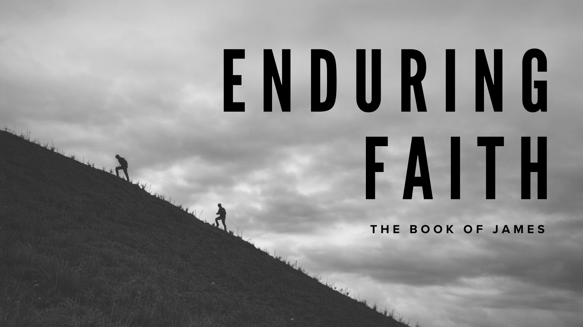 Small Group Guide: Week of 2/22