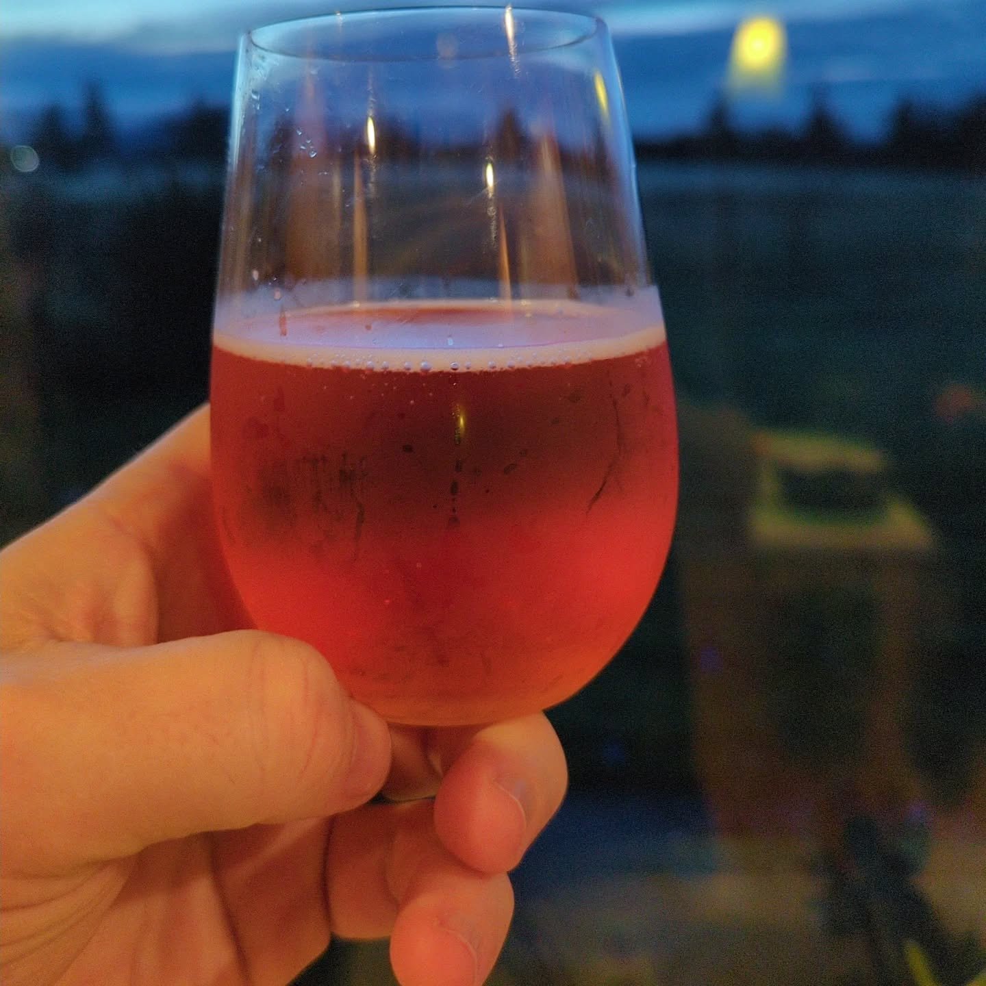 Oregon Grape #hardcider for the holidays. Oregon Grape berries in an apple base, dry, little tart from the berries, and awesome color! Cheers and best wishes for the holidays.