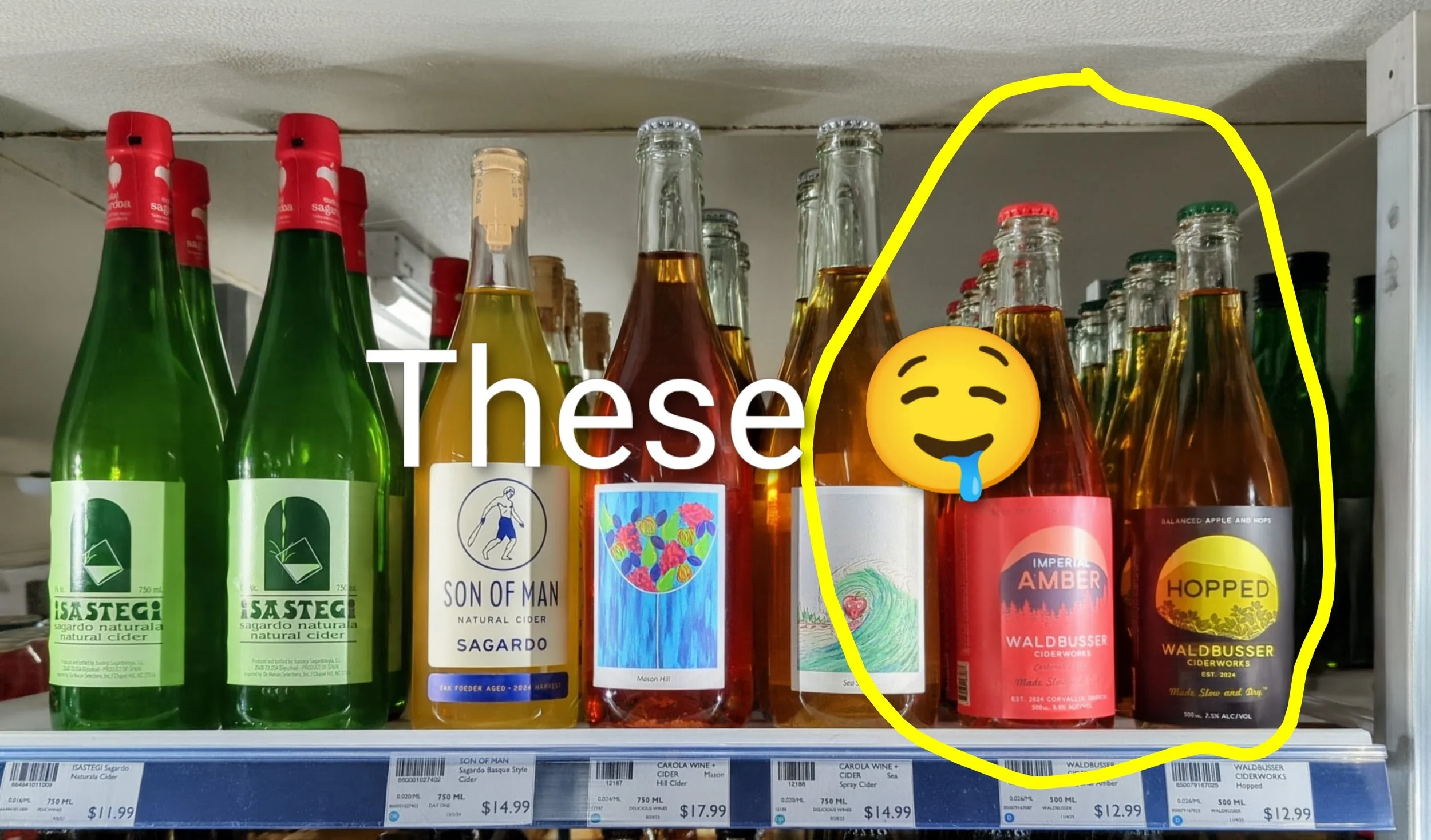 First Alternative CoOp Cider Tasting 