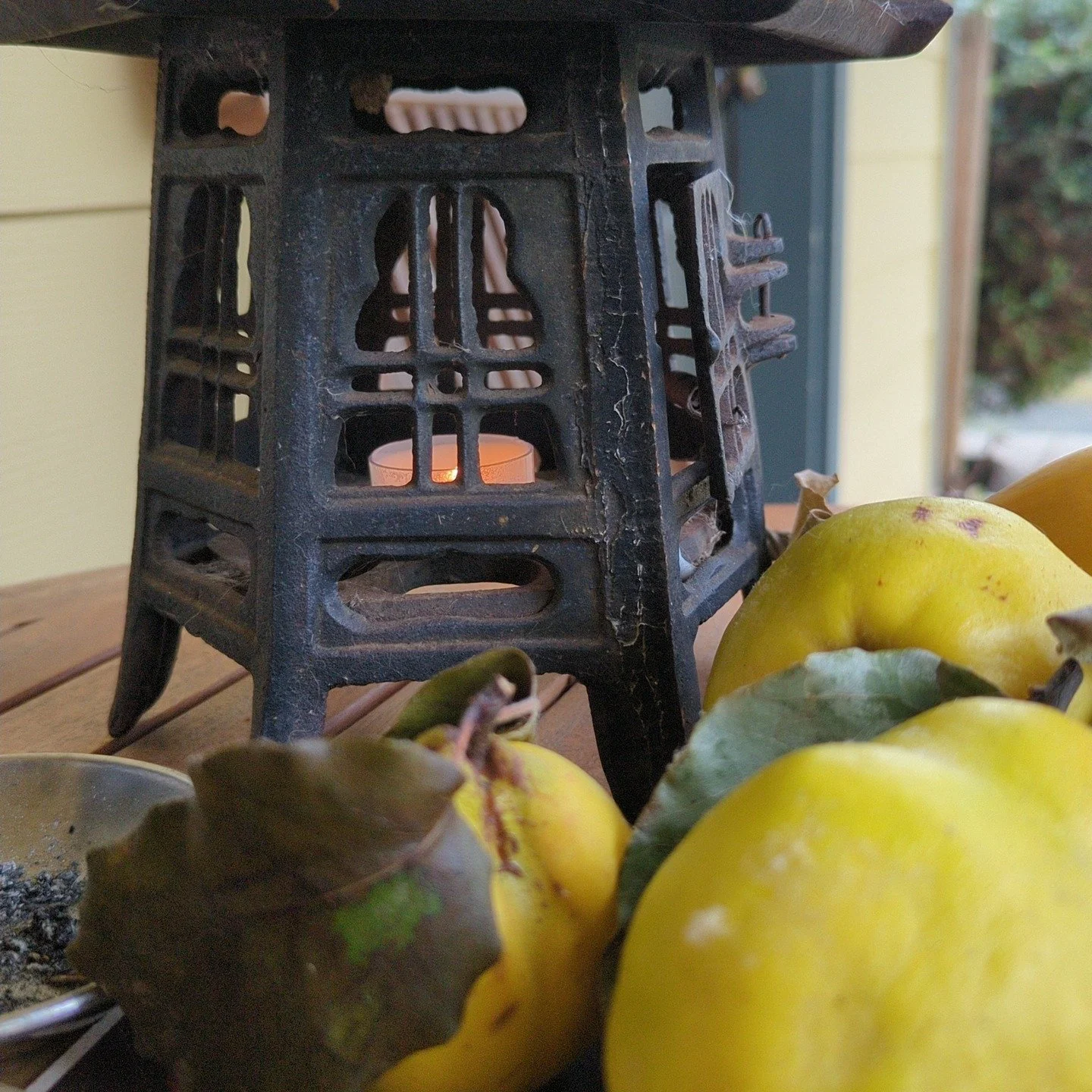 WTF is a Quince? (I promised a few weeks back) and apologies I am going to nerd out a bit below... because it is a wonderfully delicious, aromatic, and somewhat mysterious fruit!

Quince (Cydonia oblonga) is a Pomme fruit, closely related to apples a