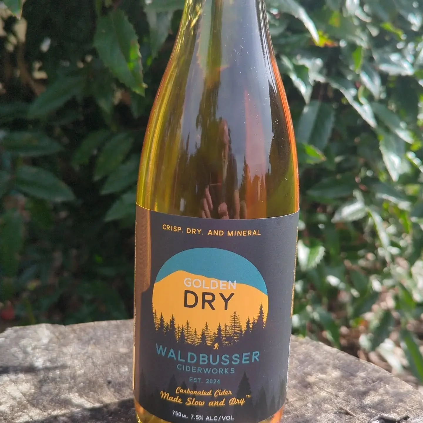 #ciderclub pickup tomorrow @osohoneyfarm 10-2. We'll have a couple extra bottles. If you're passing by, stop in and say hi, grab some honey or produce. We've got these beautiful cotton bottle totes free for club members and have a few extras for sale