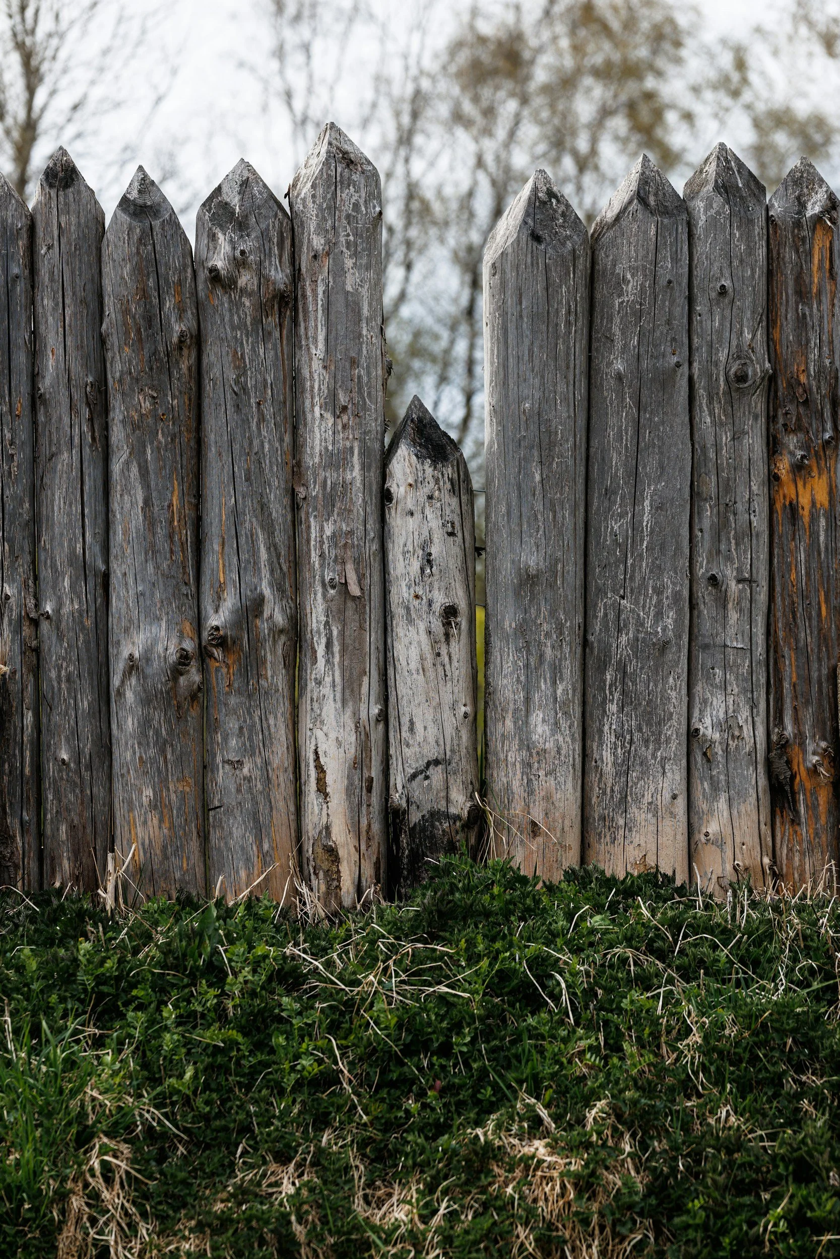 Bracing for the Day: Navigating the Week Before Father’s Day